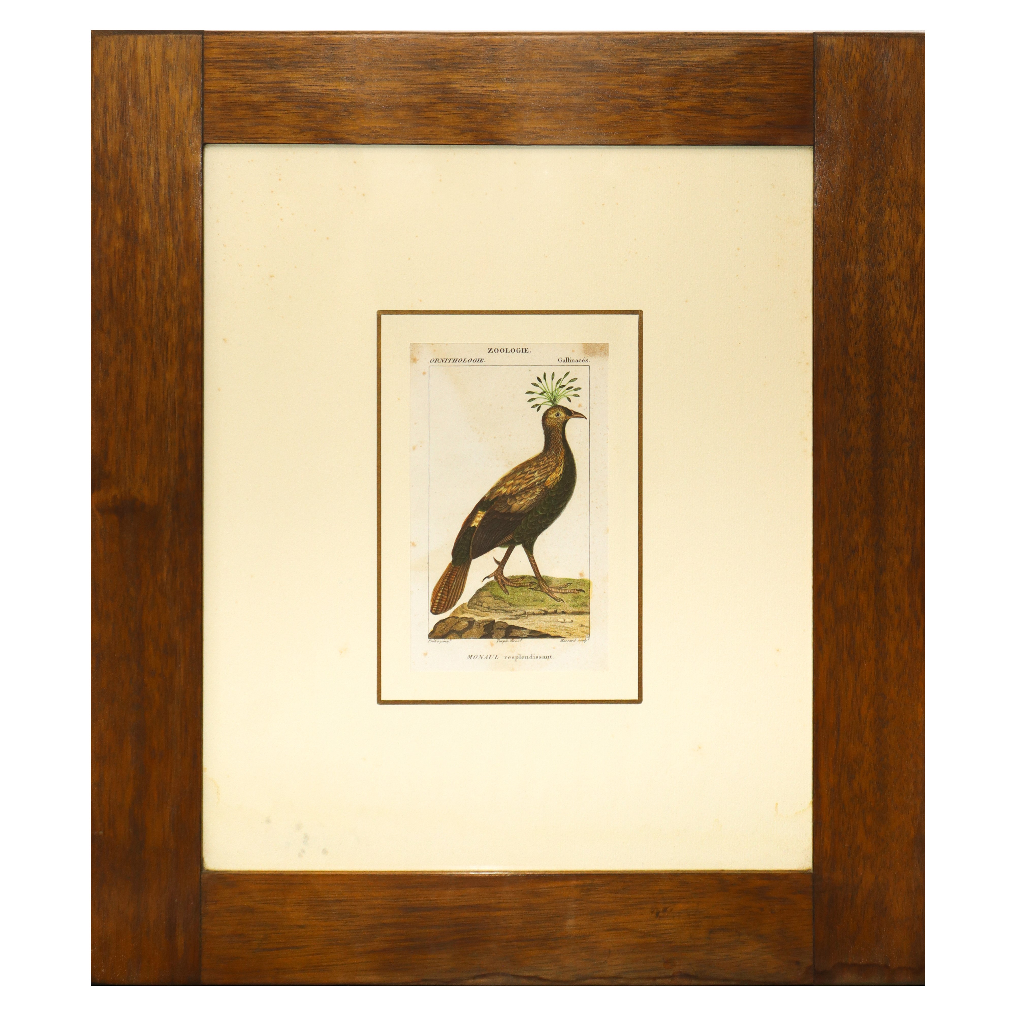 N°2 Stampe con uccelli