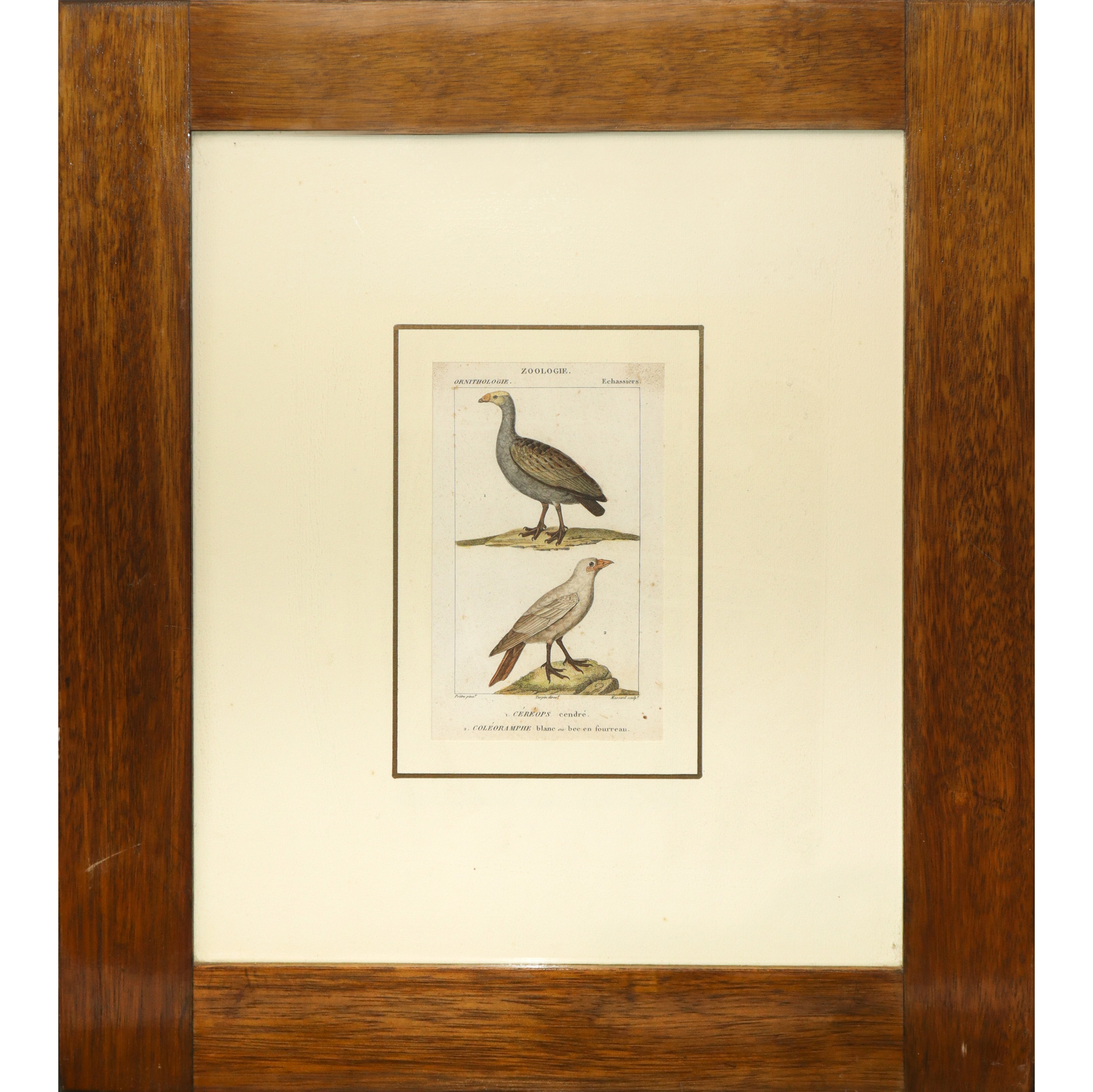 N°2 Stampe con uccelli