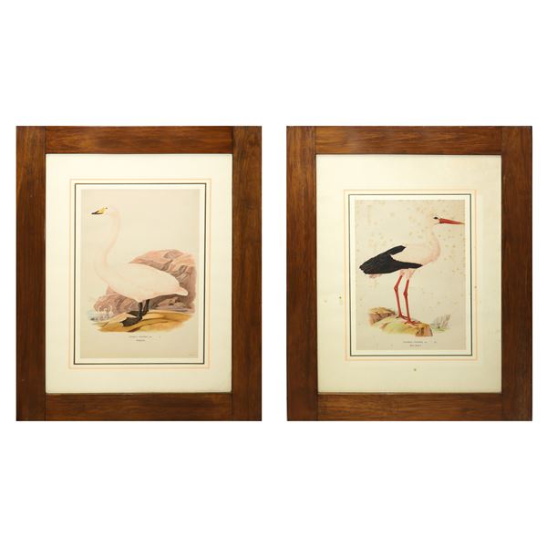 No. 2 Prints with birds