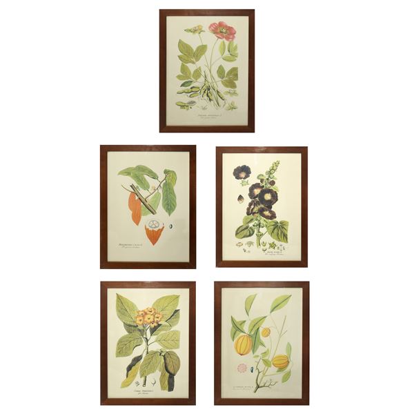 No. 5 Prints with flowers and fruits