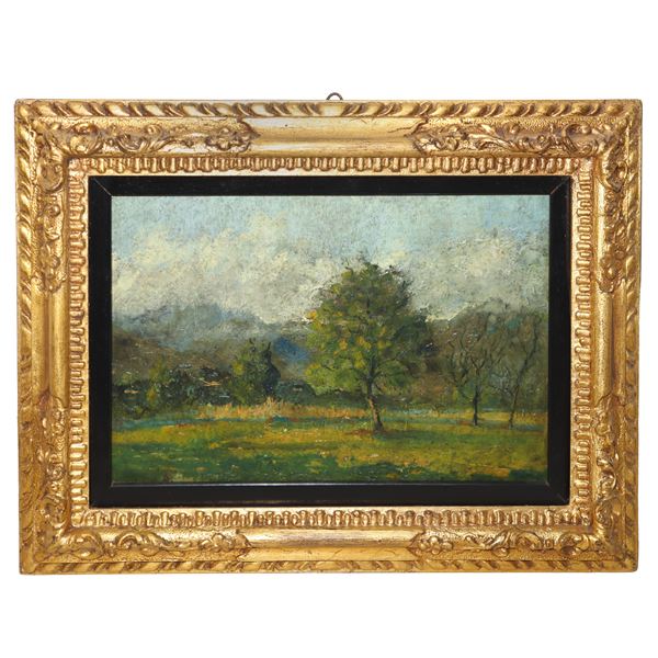 Country landscape with trees
