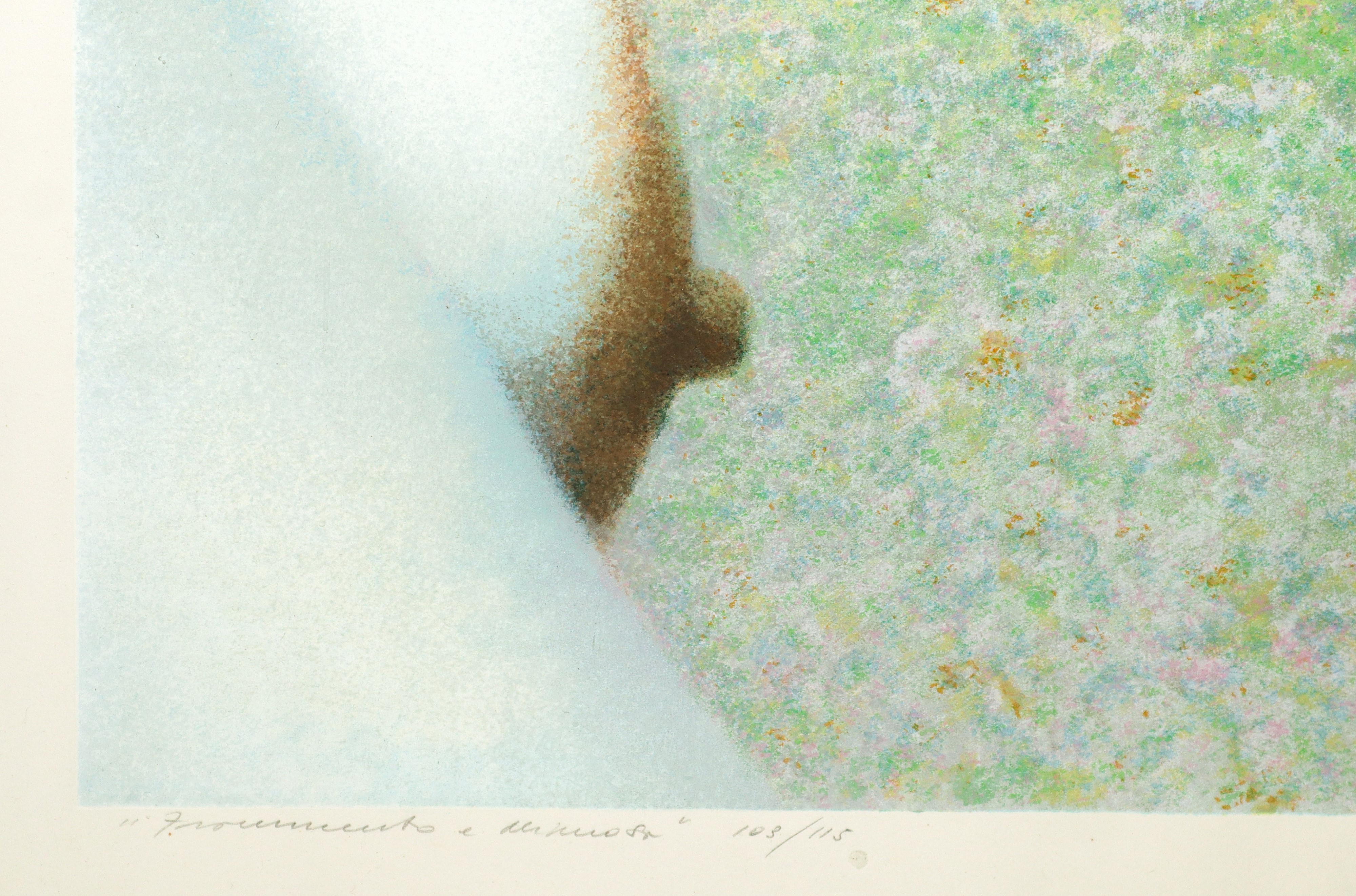 Franco Sarnari - Frammento e mimosa, litografia