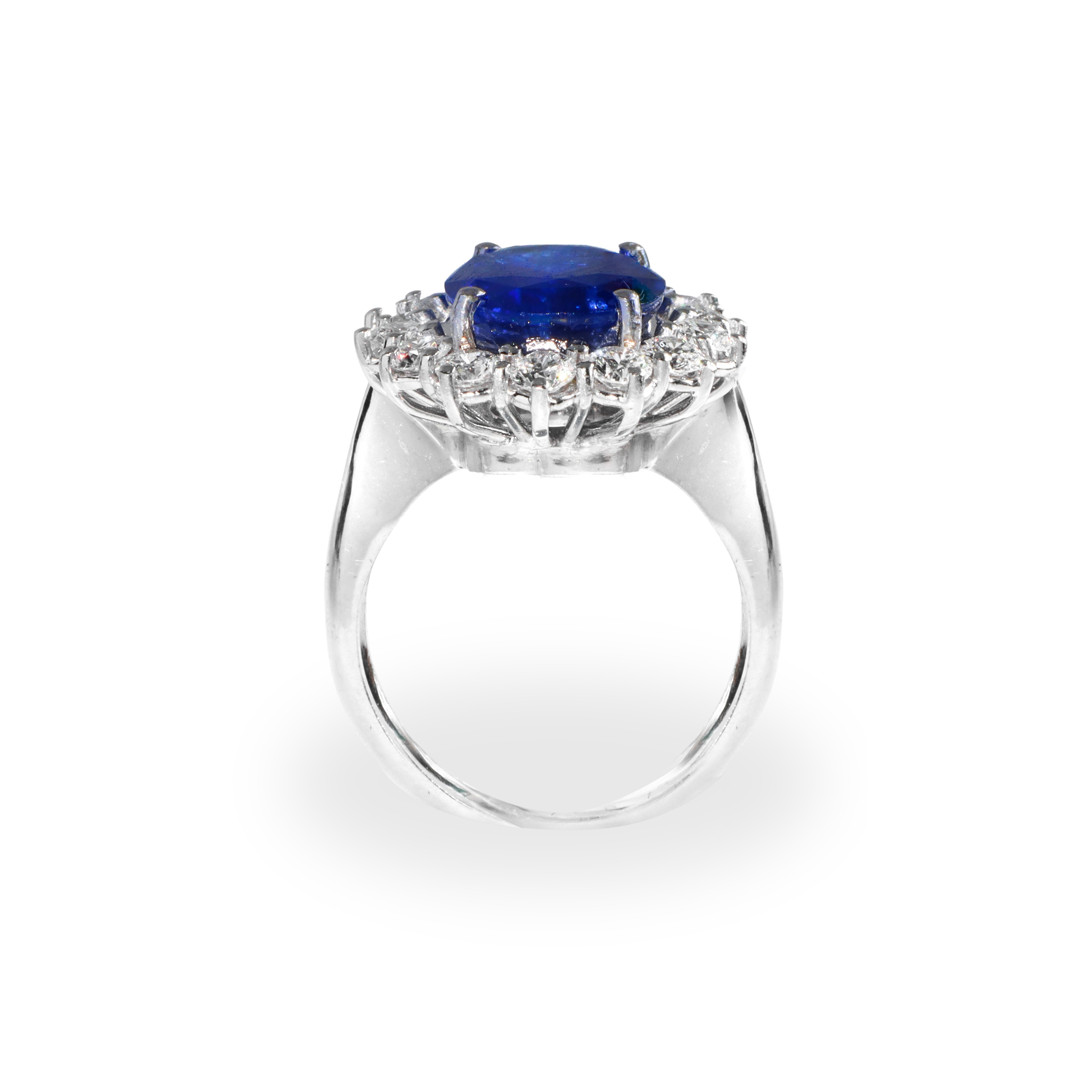 Anello in oro bianco 18 kt con zaffiro naturale Royal Blue (provenienza Sri Lanka) con contorno d...