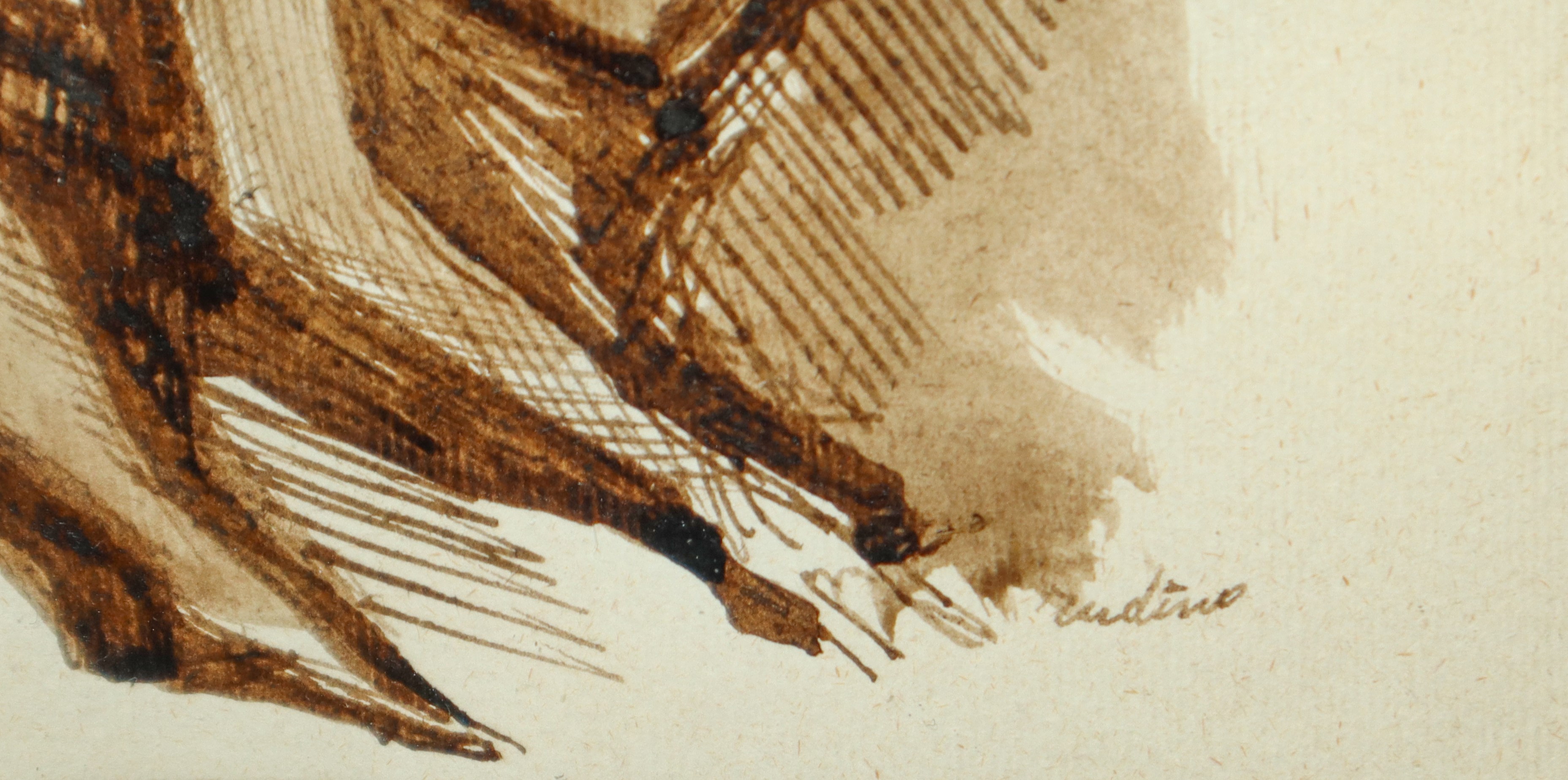 Autore ignoto, Donna distesa – Disegno ad inchiostro bruno