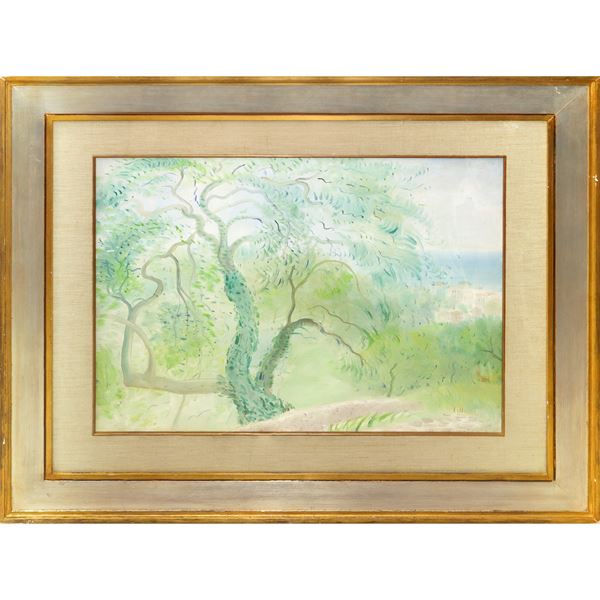 Carob tree in Alassio