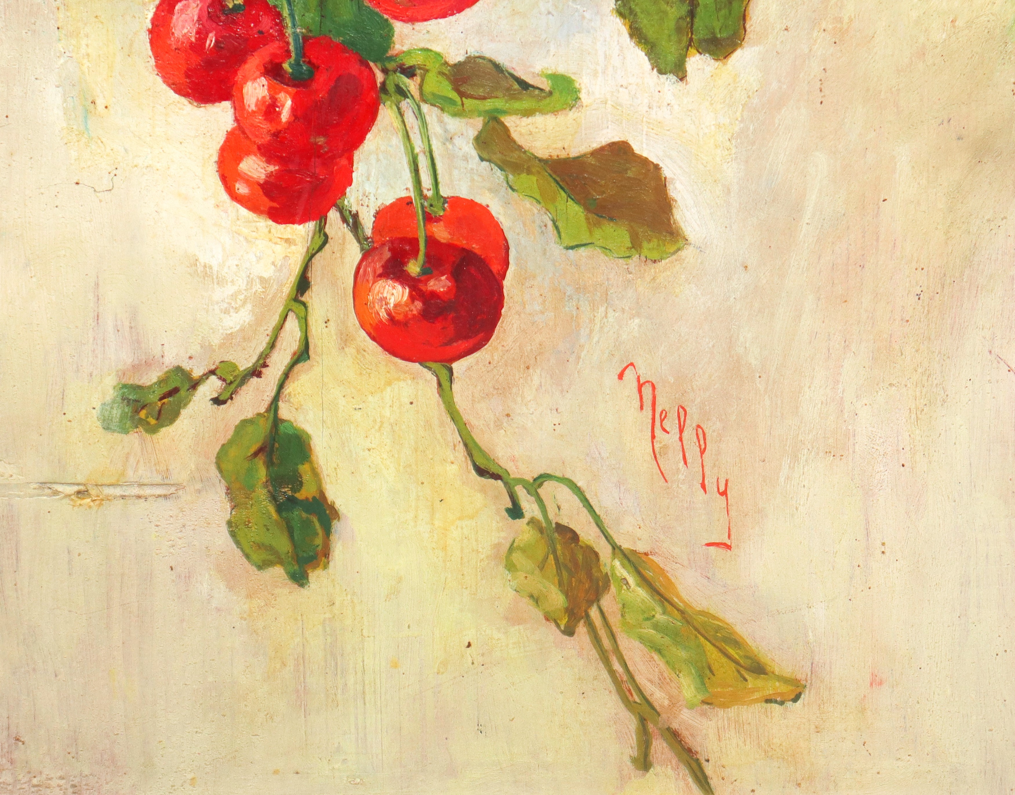 Nelly D'urso - Ramo con Ciliegie