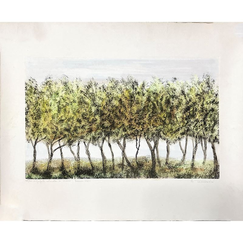 Carmelo Tommasini - Paesaggio con alberi