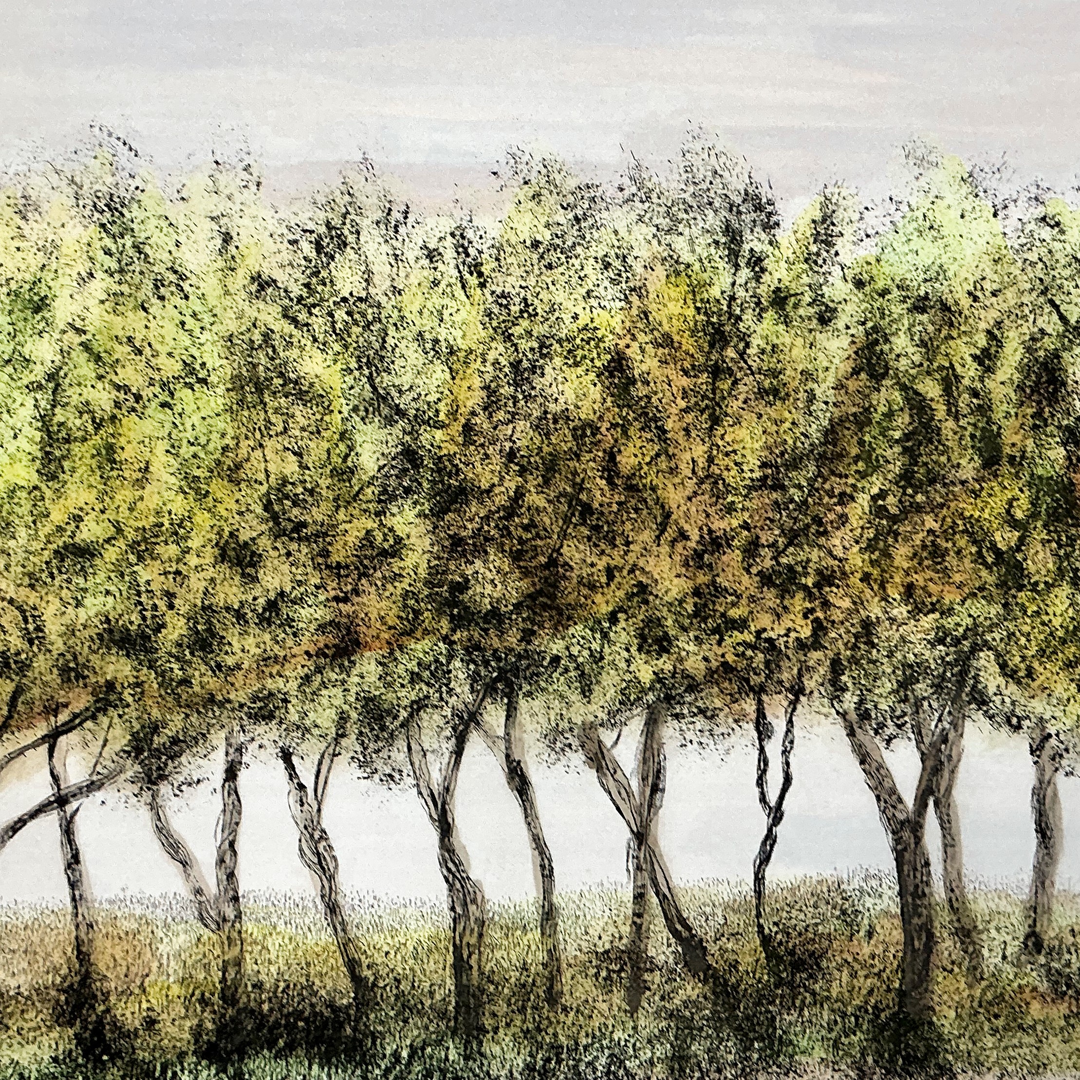 Carmelo Tommasini - Paesaggio con alberi