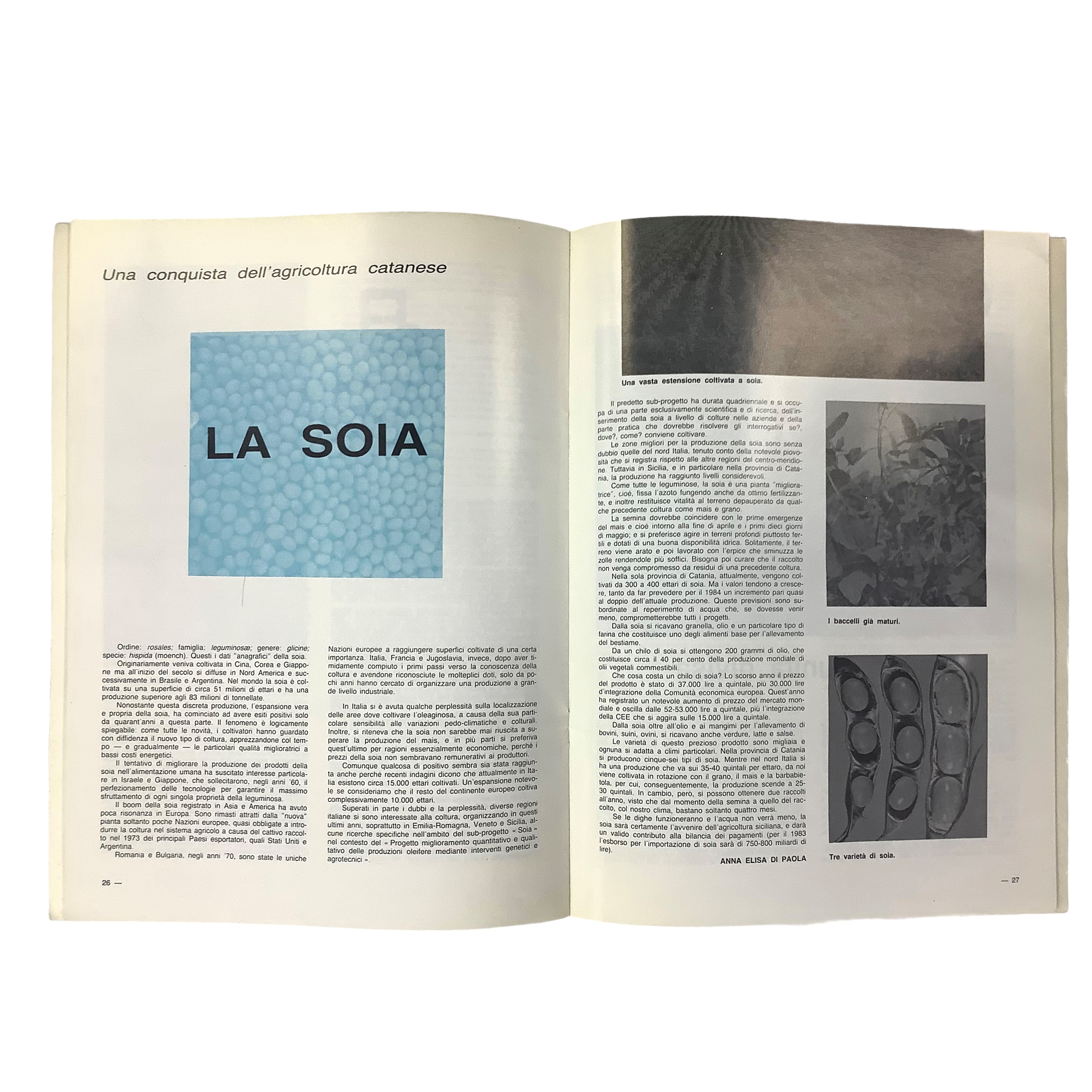 Provincia di Catania 1983