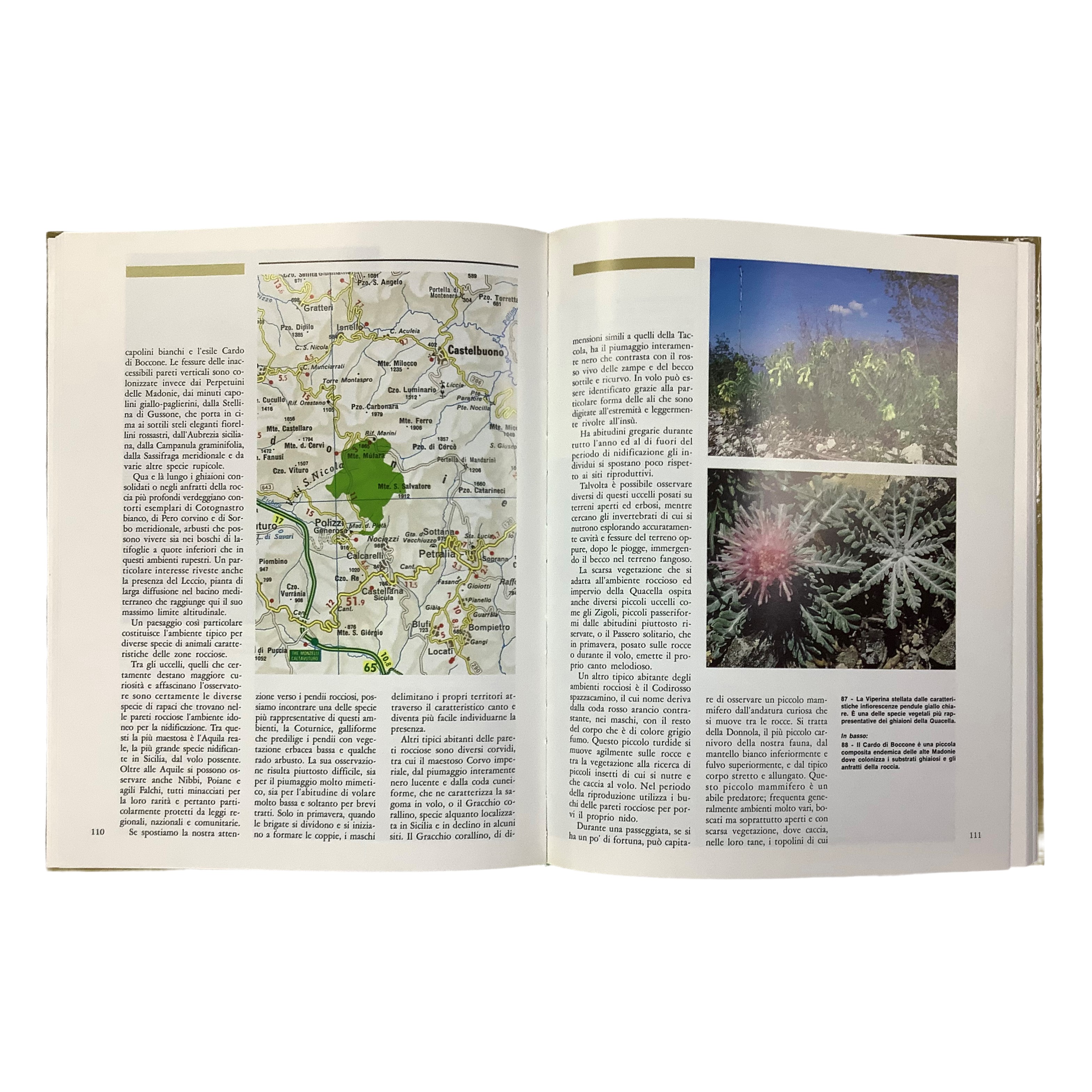 Le perle verdi della Sicilia