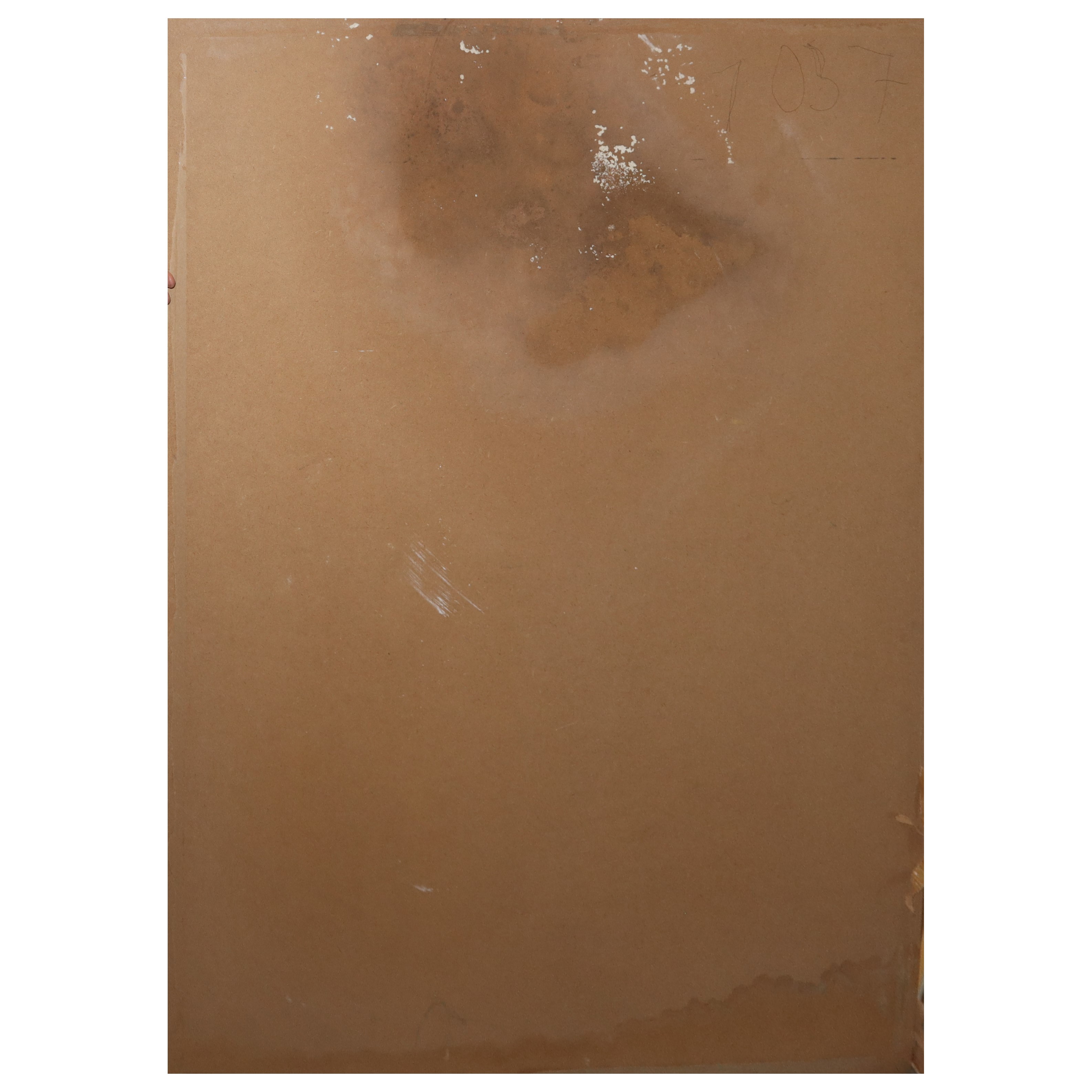 Imprevedibili automatismi di una donna