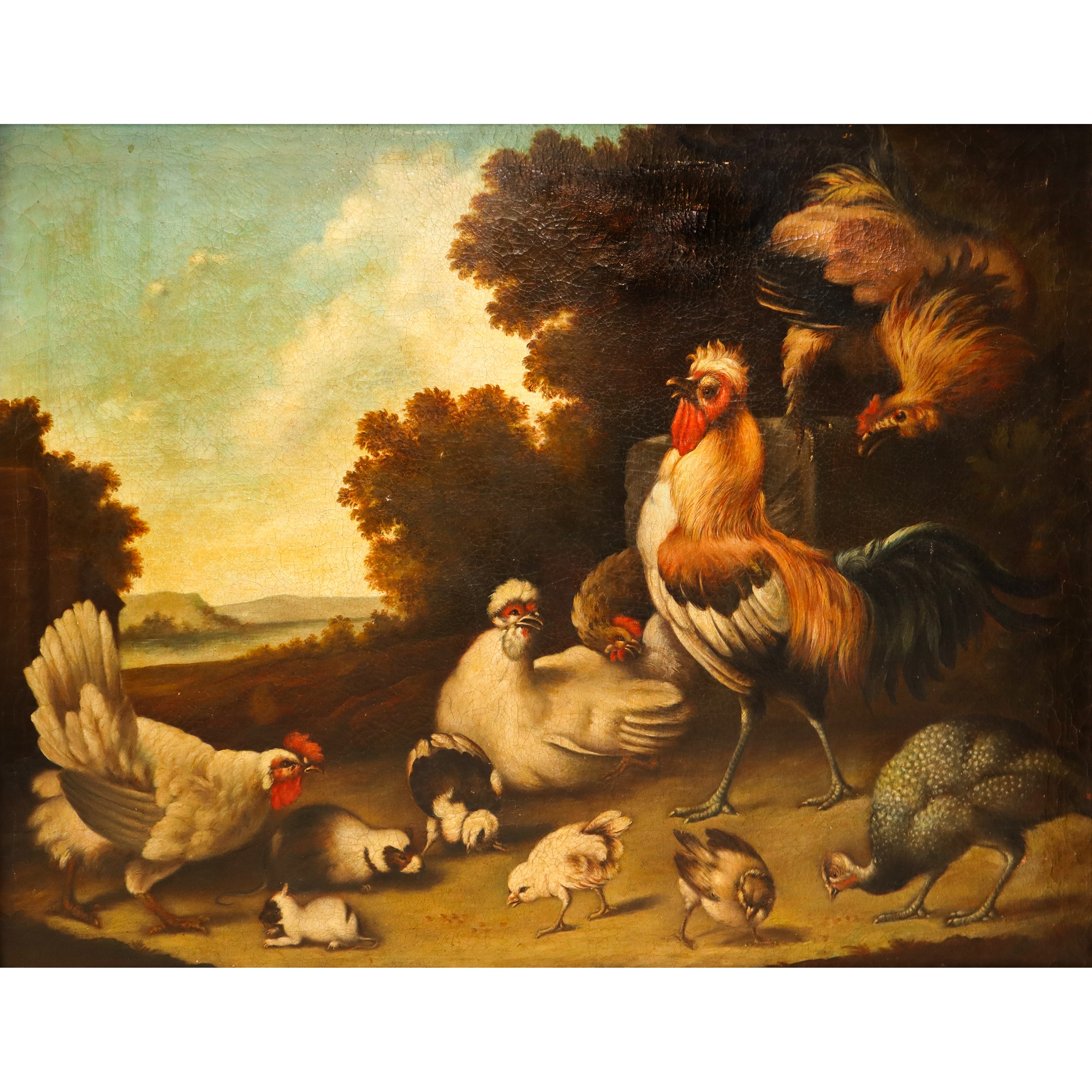 Gallo con galline e pulcini