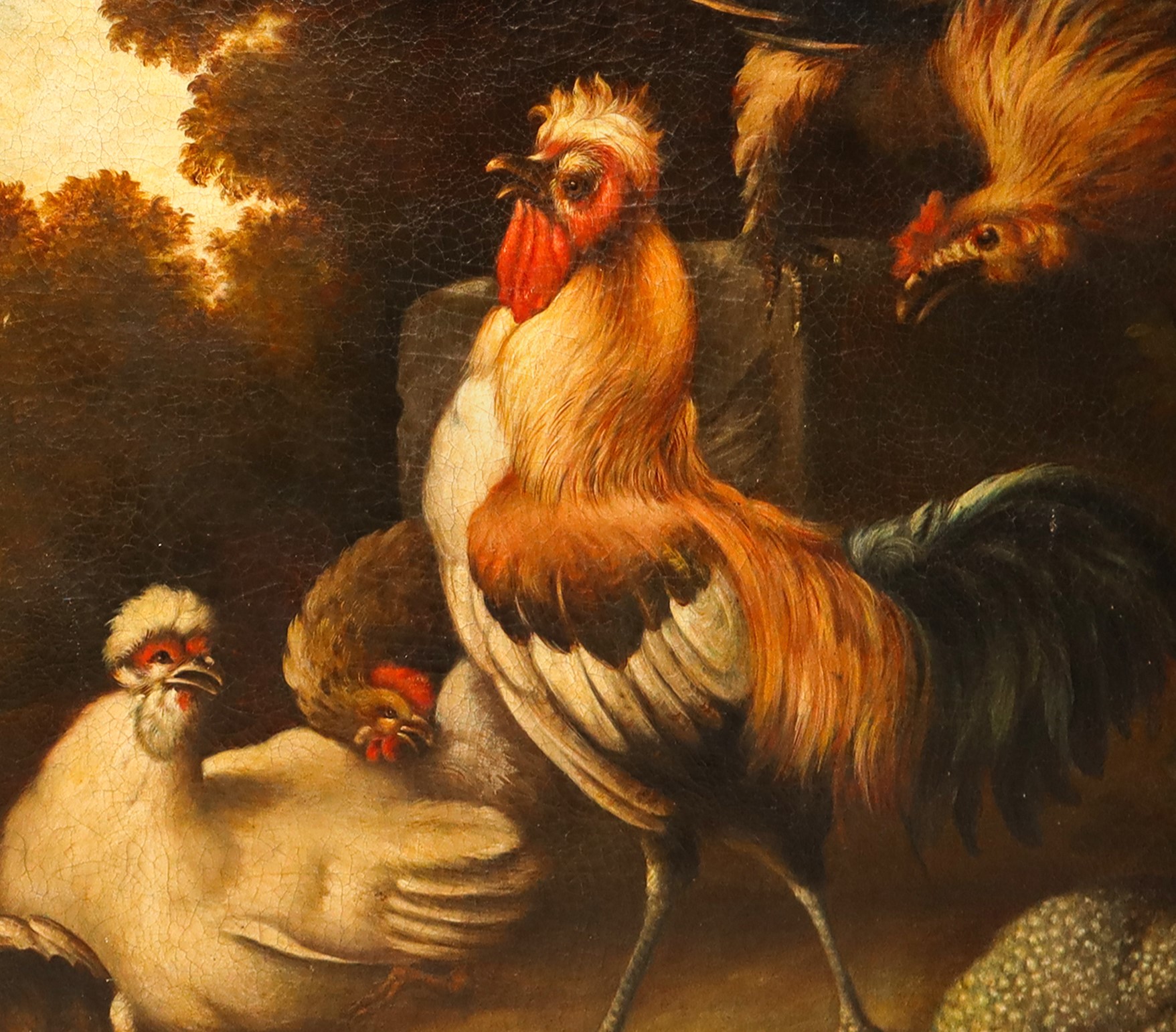 Gallo con galline e pulcini