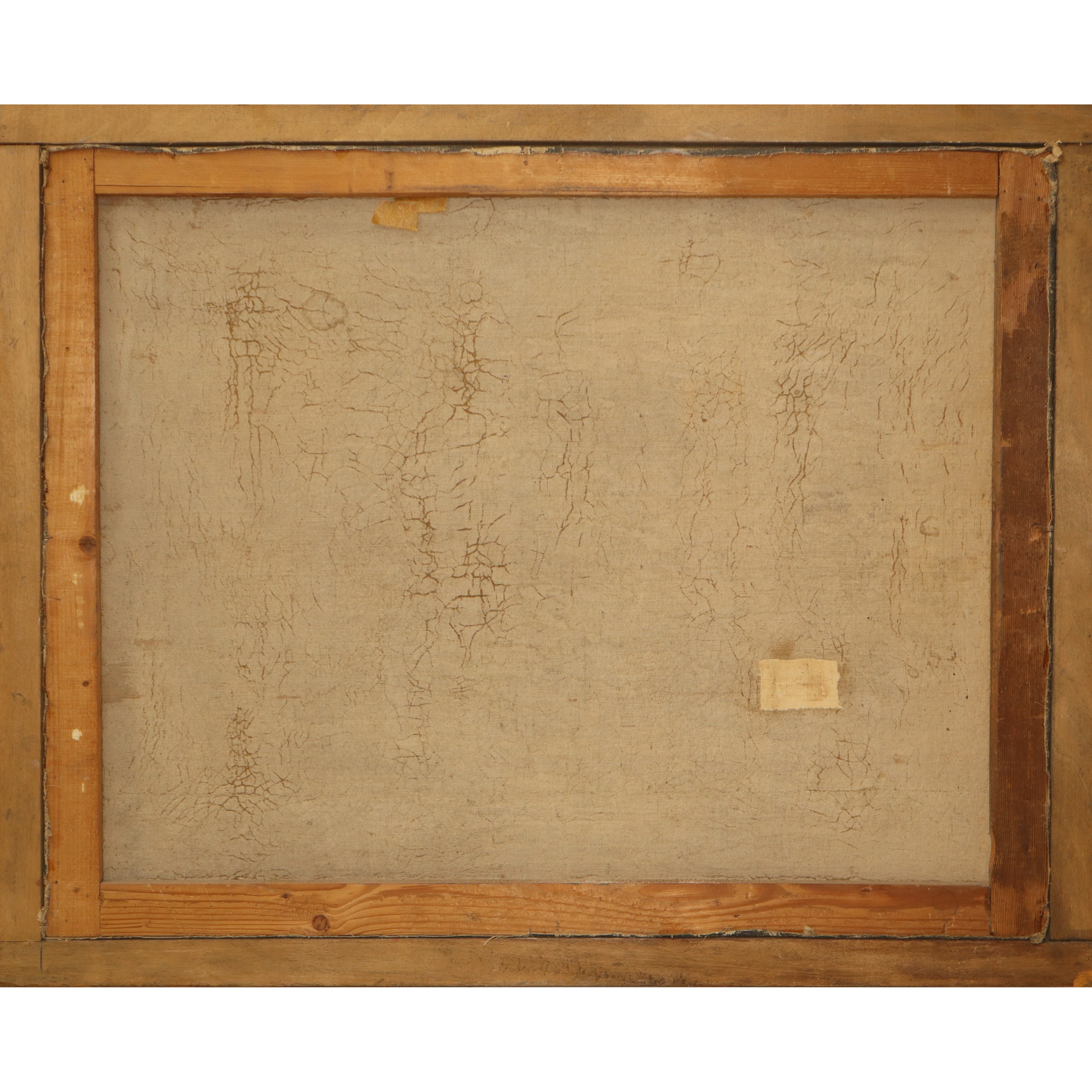 Gallo con galline e pulcini