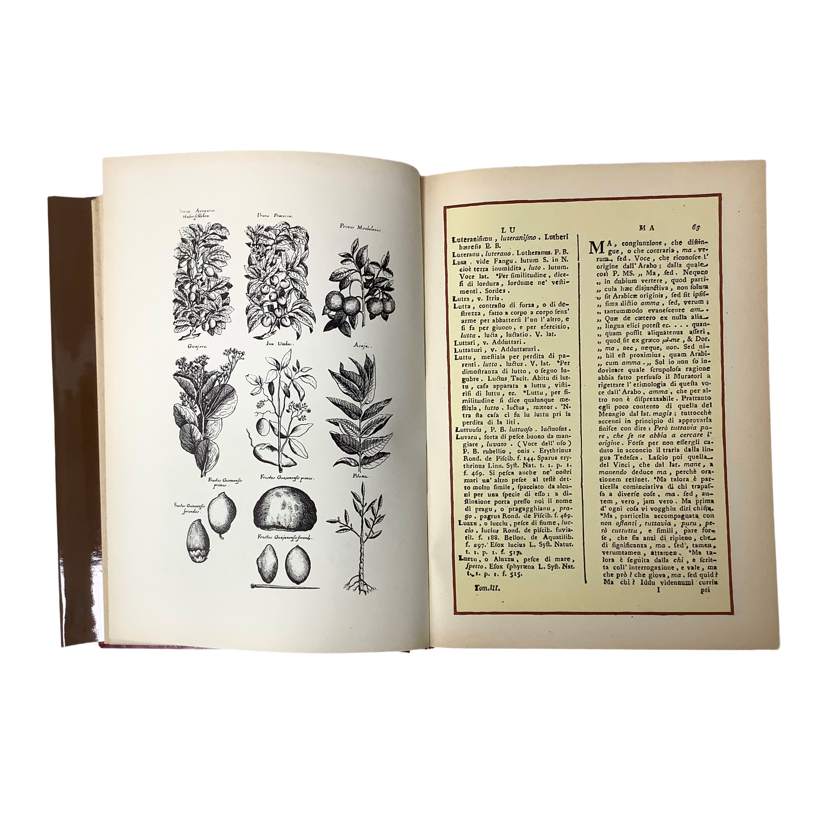 Michele Pasqualino - Vocabolario etimologico siciliano, In 5 volumi