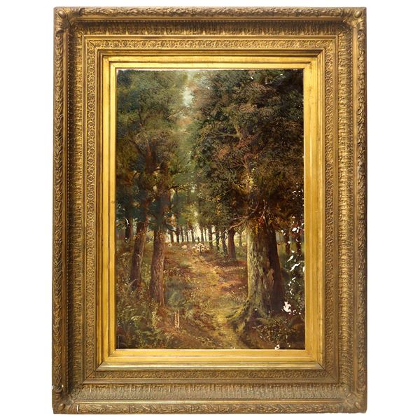 Woodland glimpse with trees and flock
