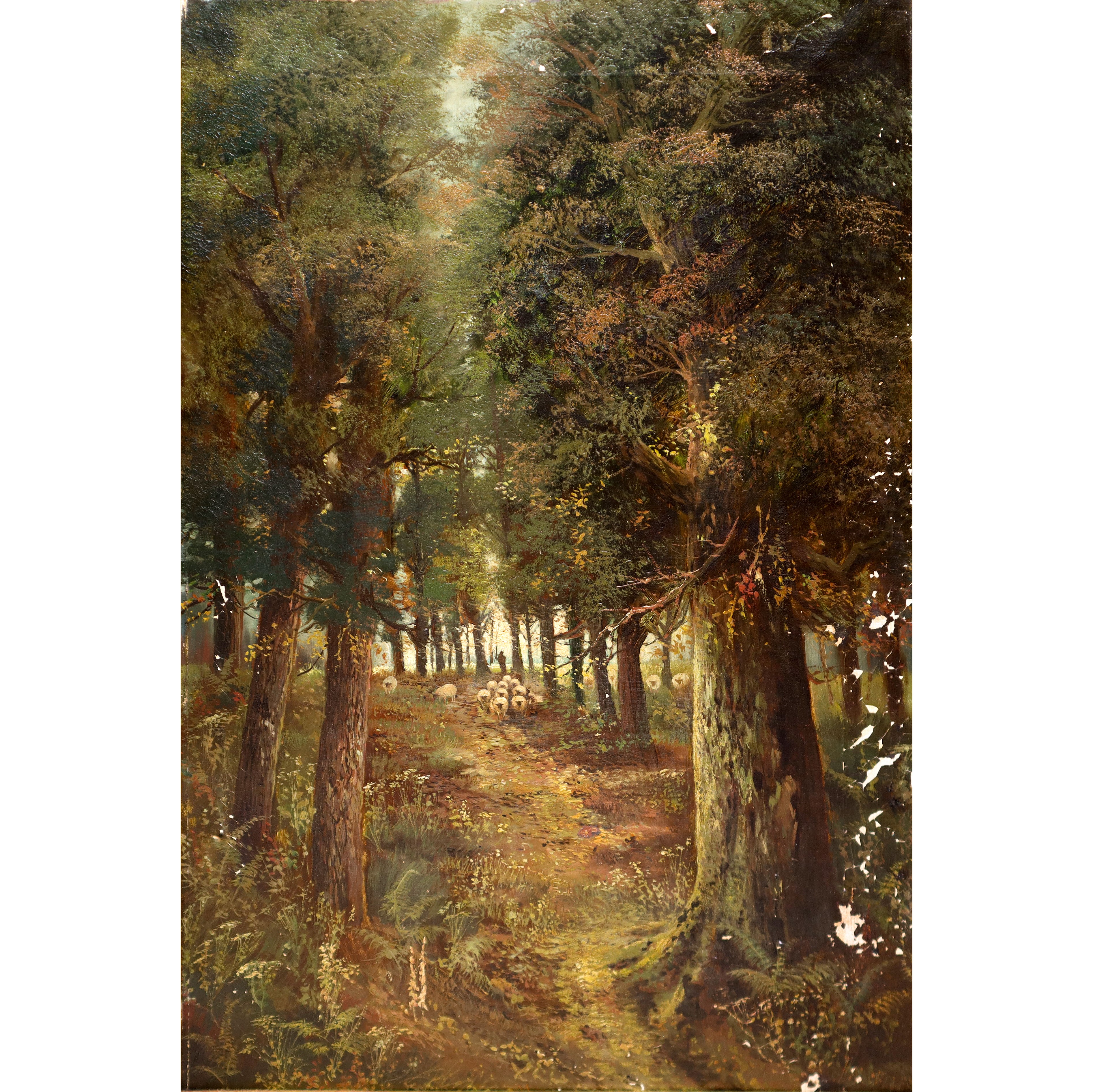 Scorcio Boschivo con Alberi e Gregge