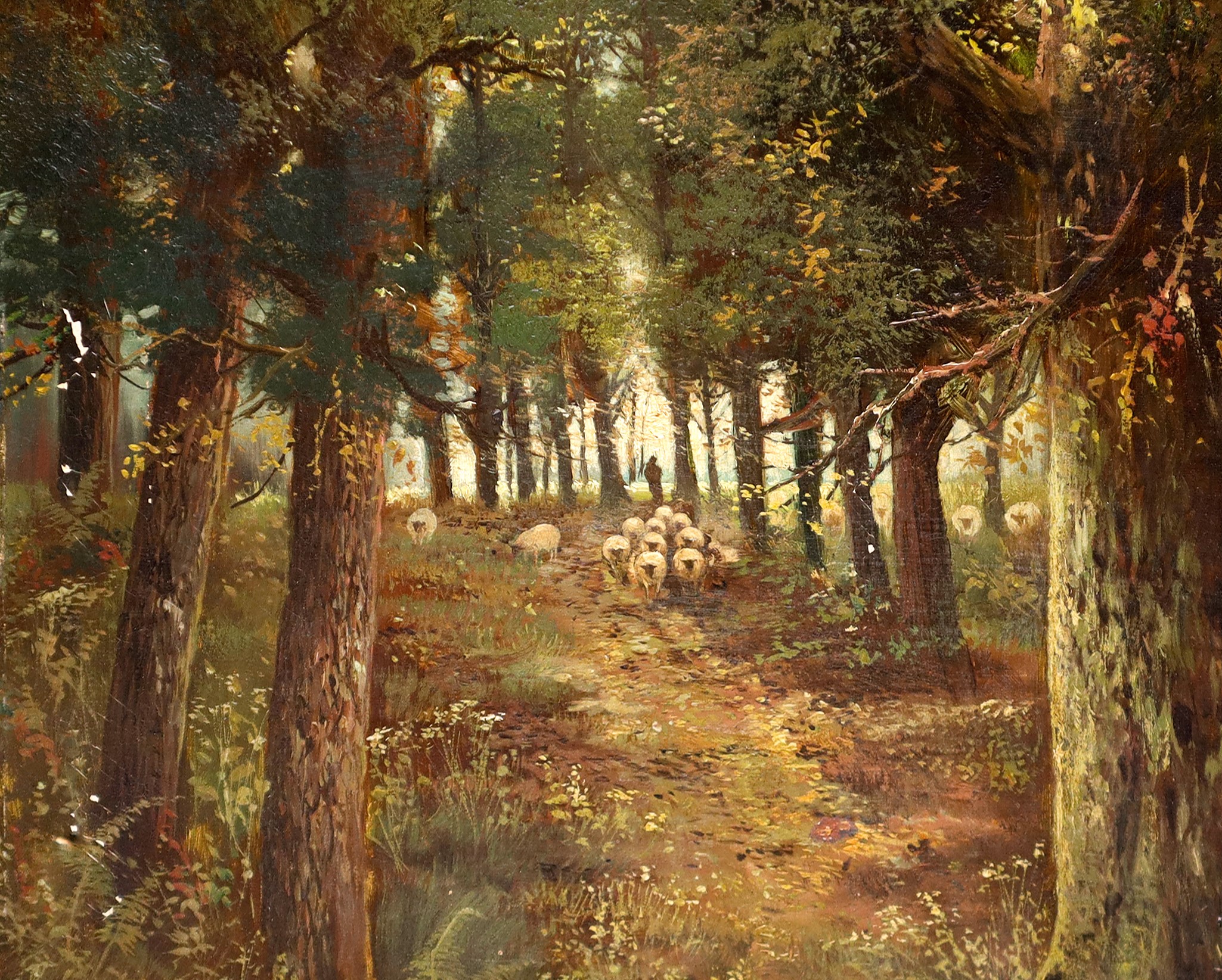 Scorcio Boschivo con Alberi e Gregge