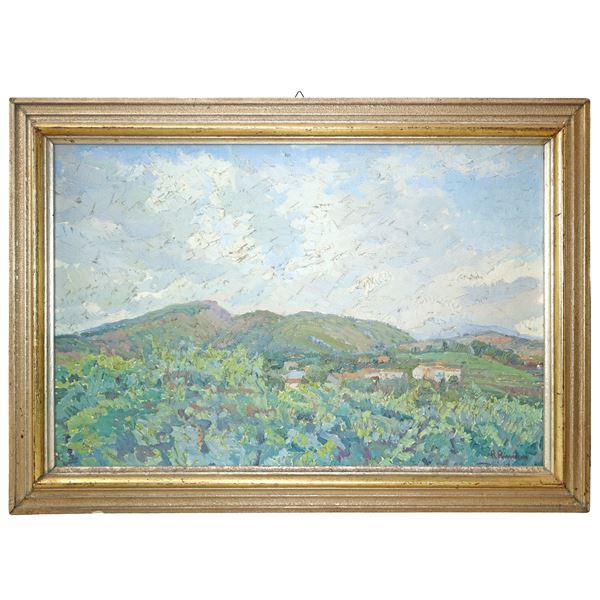 Hilly landscape