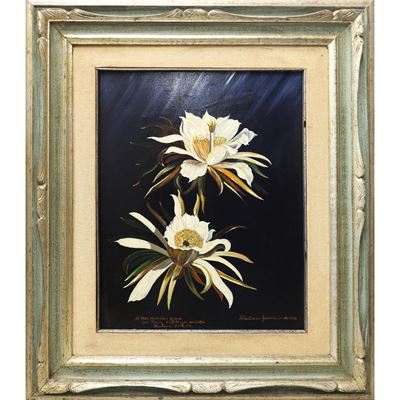 Fiori bianchi