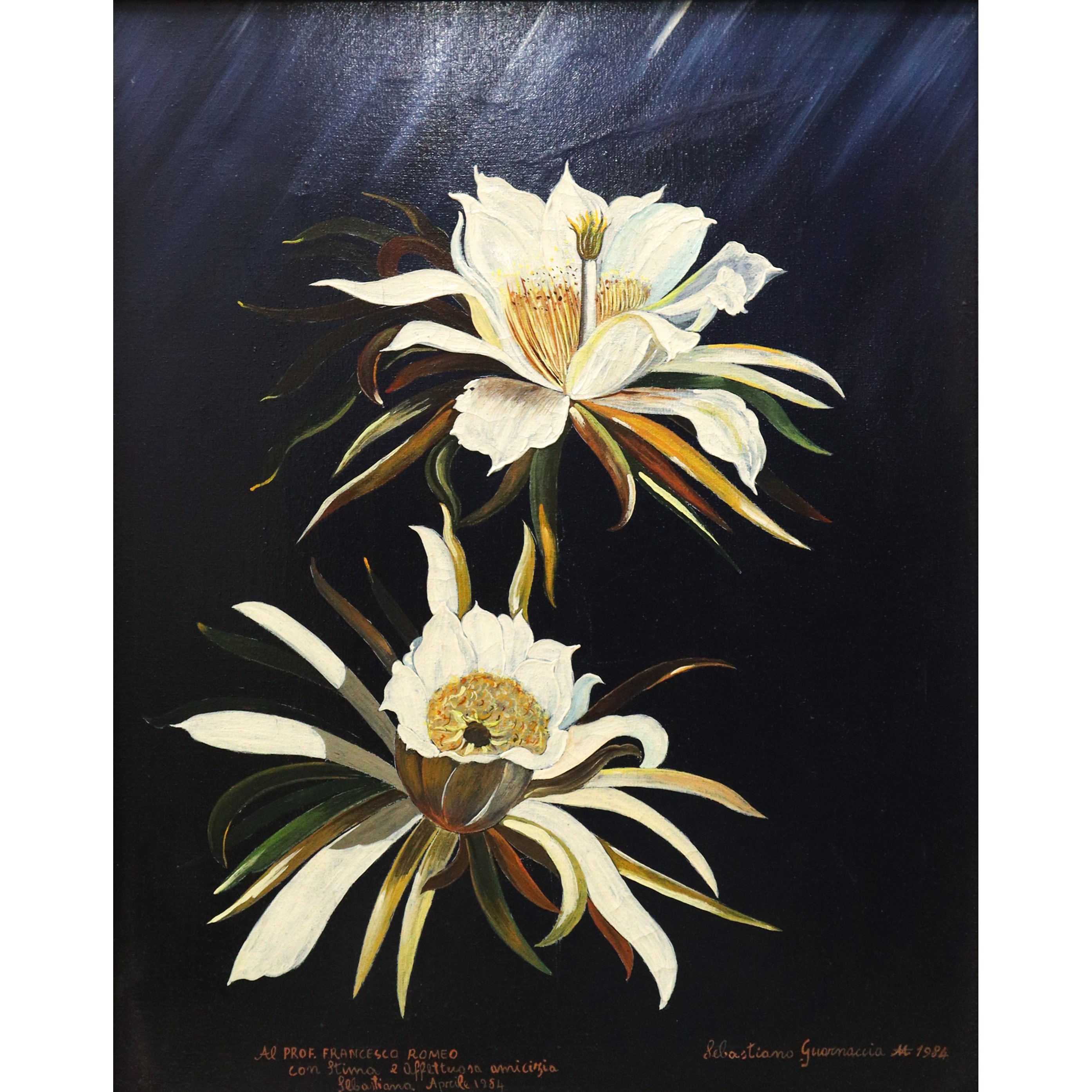 Sebastiano Guarnaccia - Fiori Bianchi