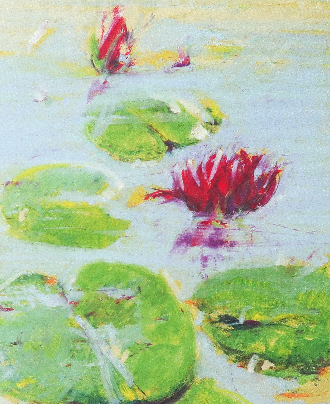 Giancarlo Cazzaniga - Ninfee