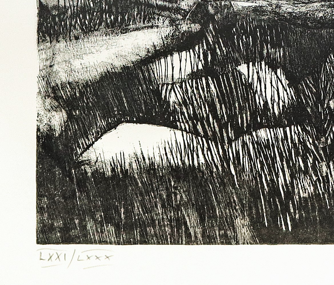 Finocchiaro Pino - Paesaggio