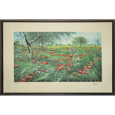 Campo di papaveri, litografia