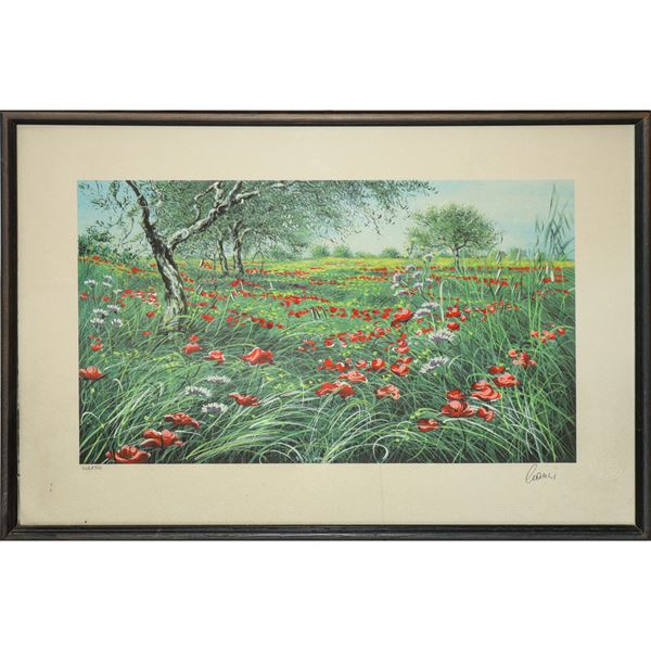 Amedeo Cianci - Field of poppies