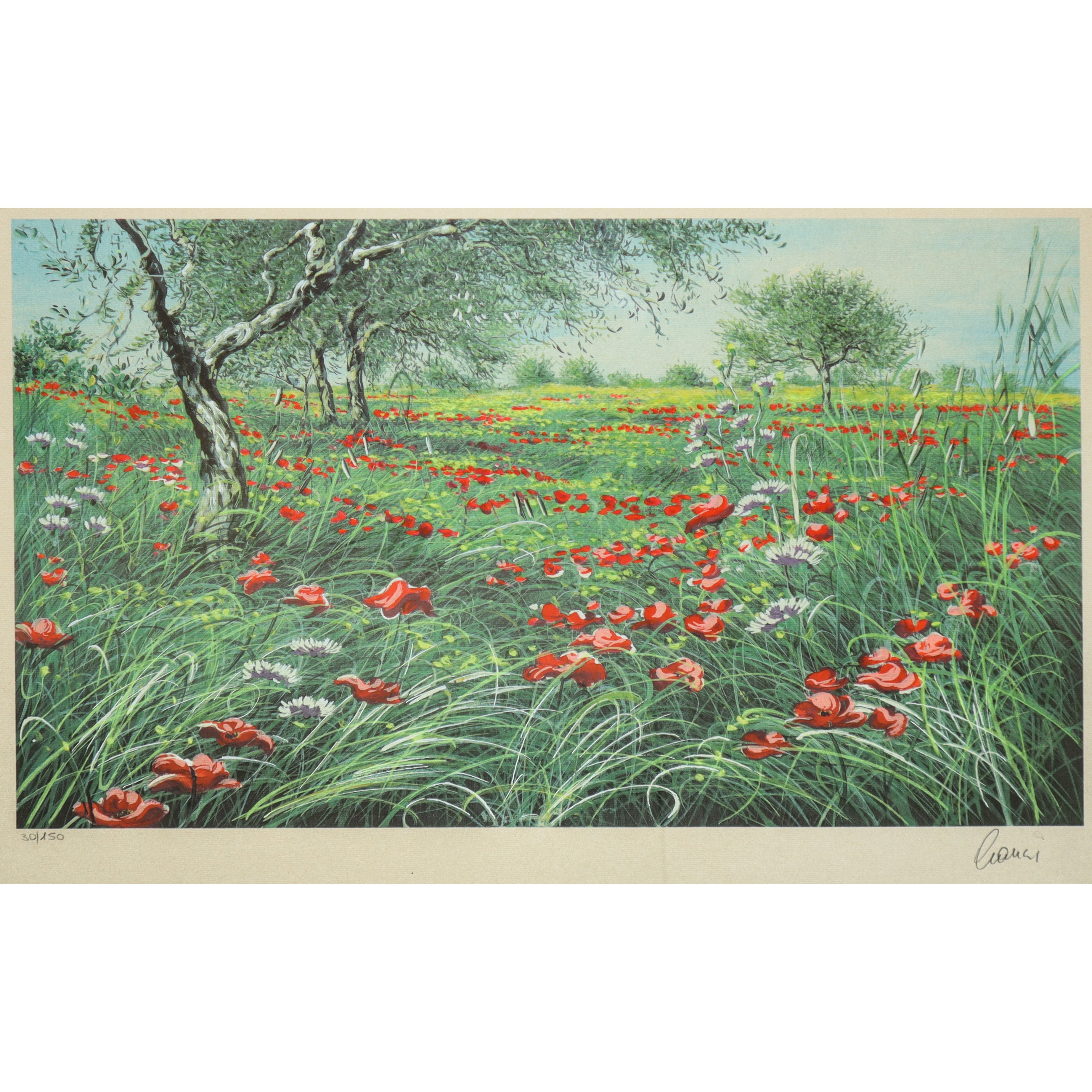 Amedeo Cianci - Campo di papaveri, litografia