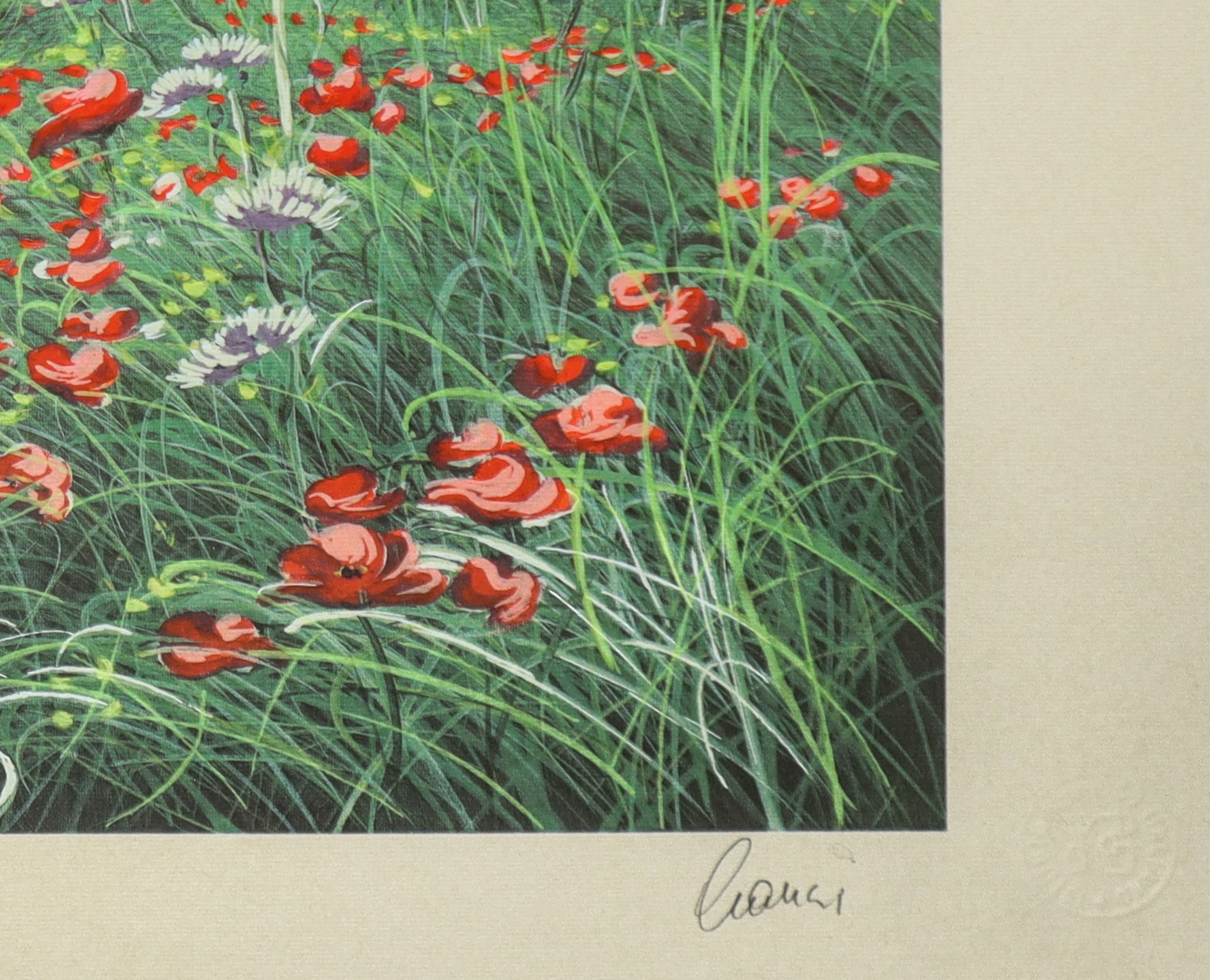 Amedeo Cianci - Campo di papaveri, litografia