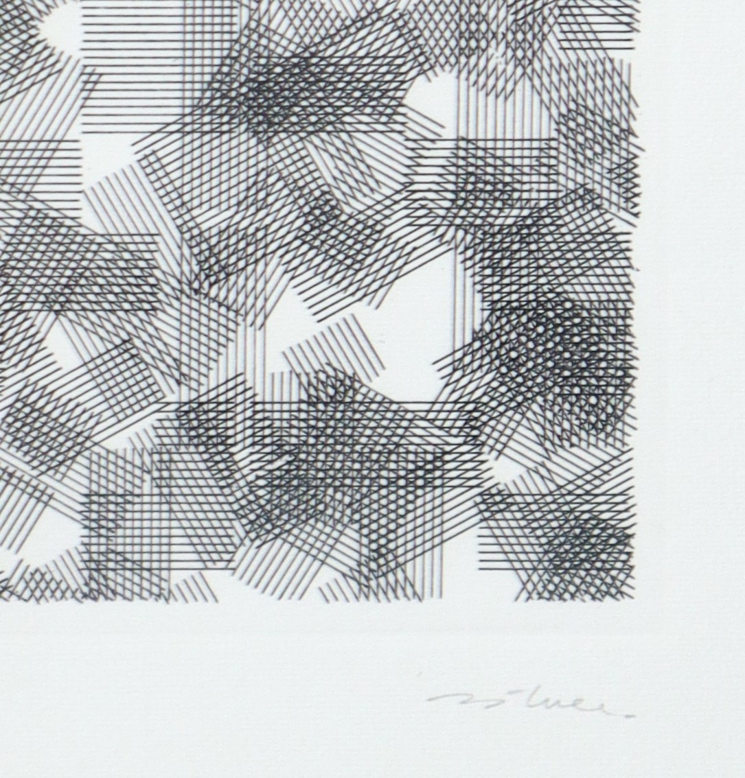 Alberto Zilocchi - Linee