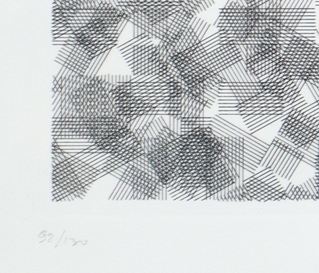 Alberto Zilocchi - Linee