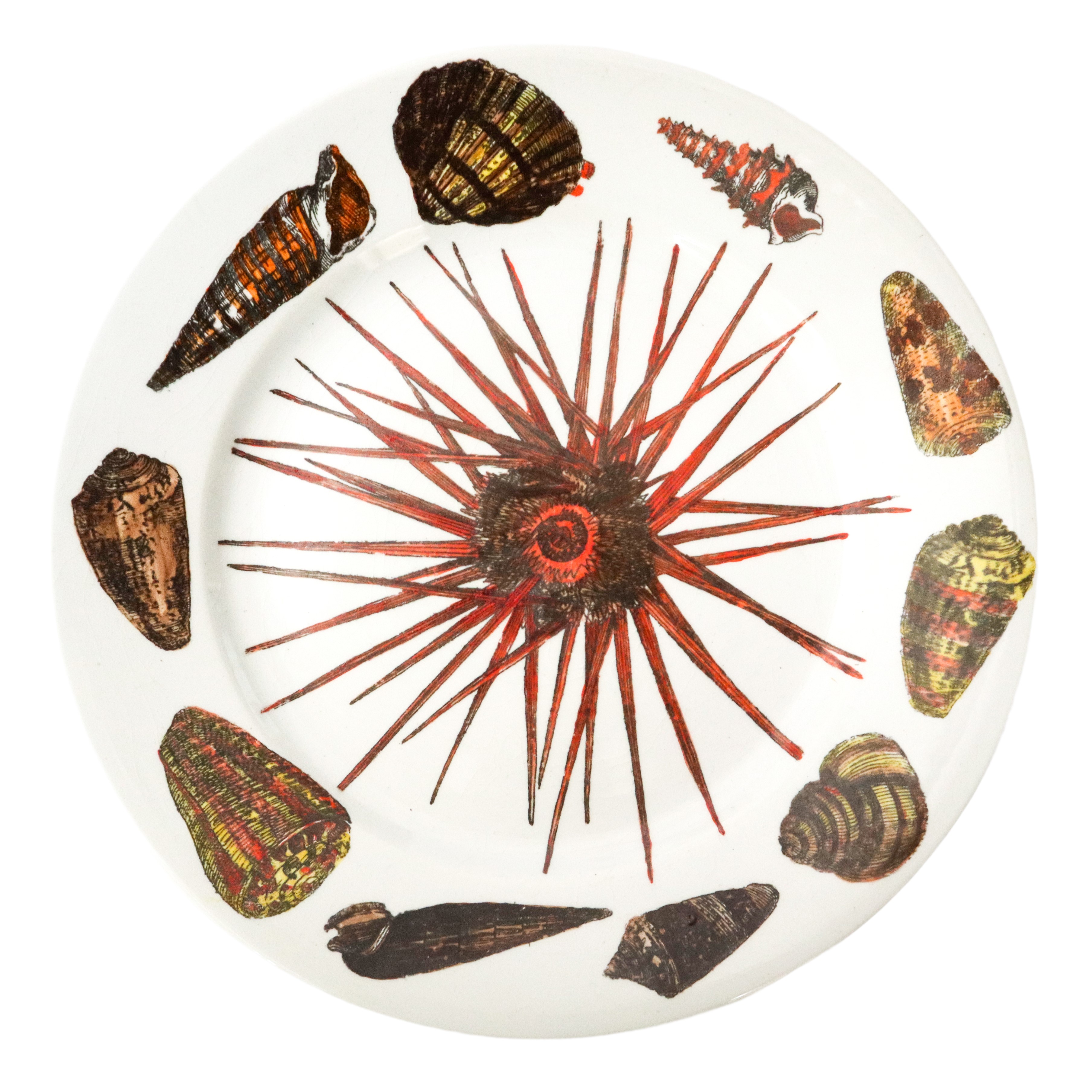 Coppia di piatti in ceramica Fornasetti, Serie Conchiglie