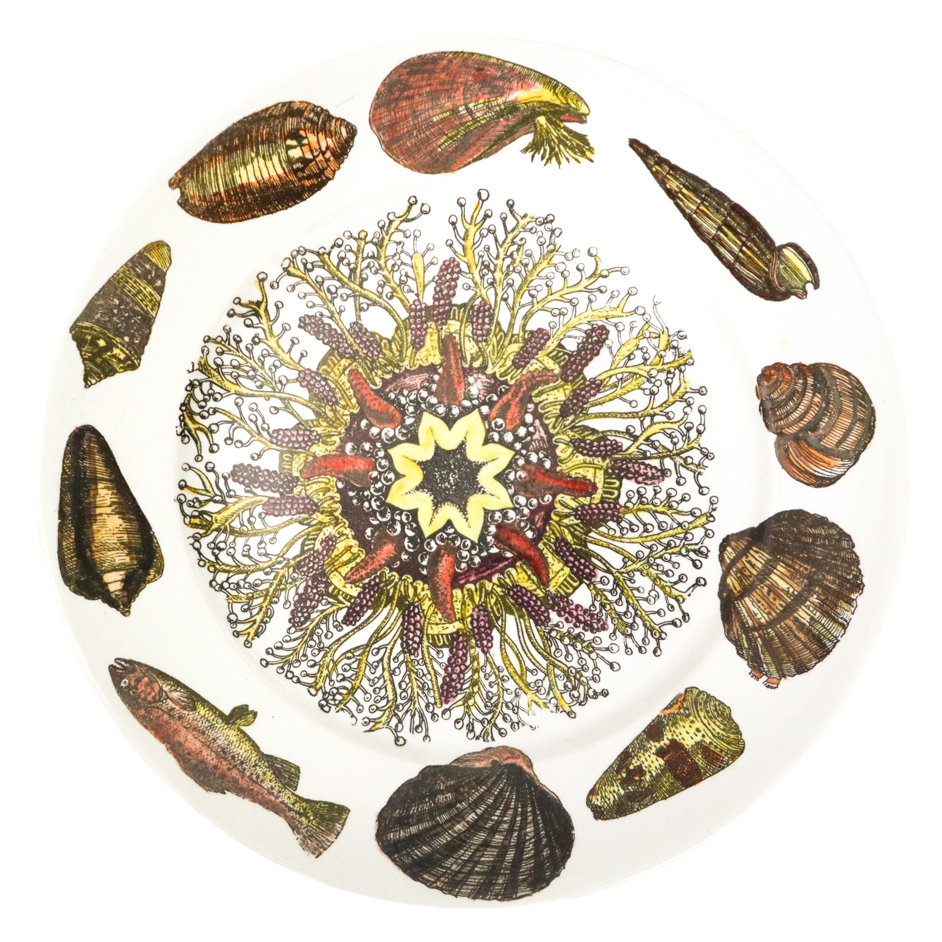 Coppia di piatti in ceramica Fornasetti, Serie Conchiglie