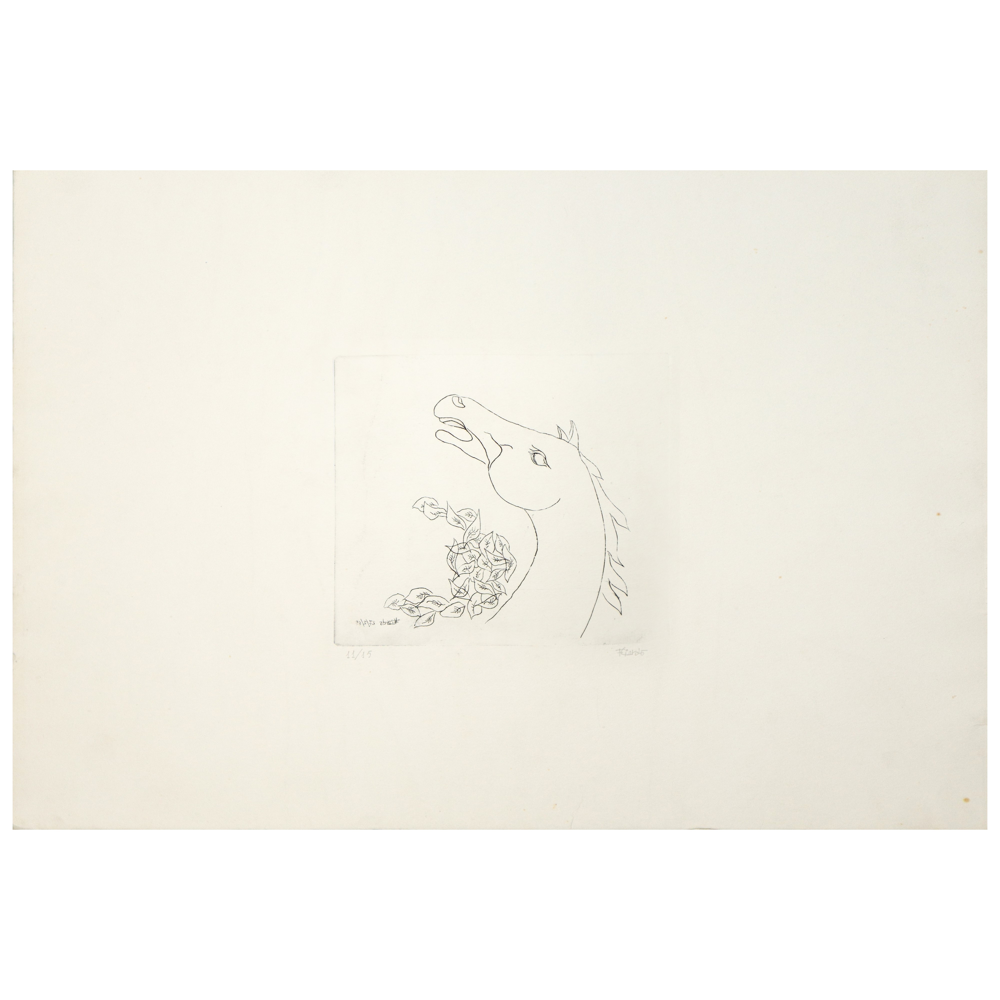 Filippo Liardo - Testa di cavallo (acquaforte, 1968)