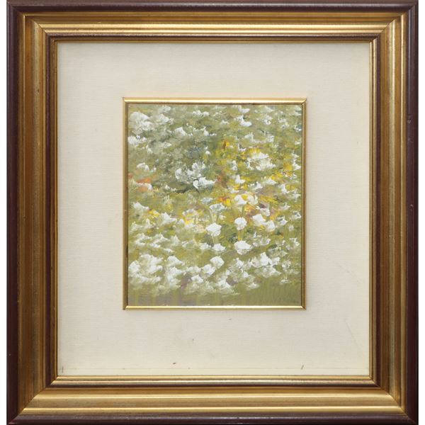 Fiori bianchi