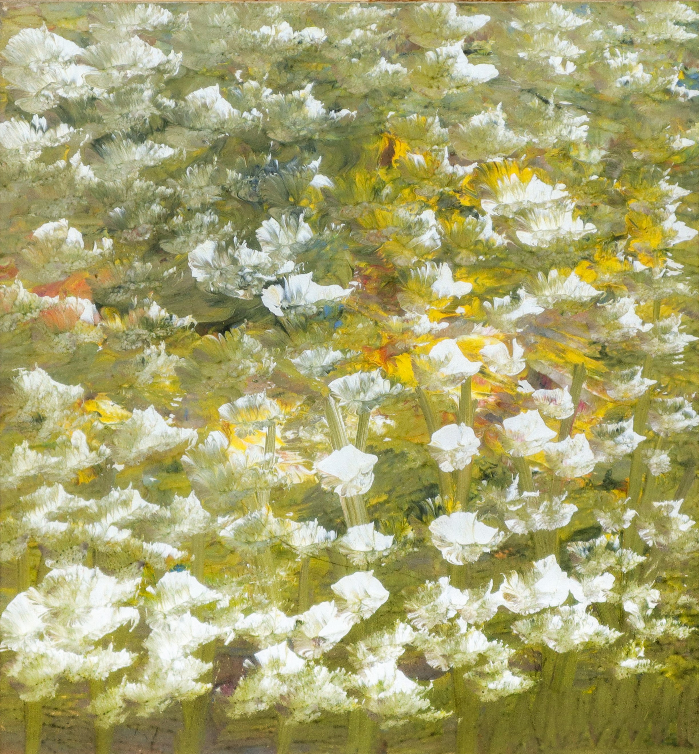 Fiori Bianchi