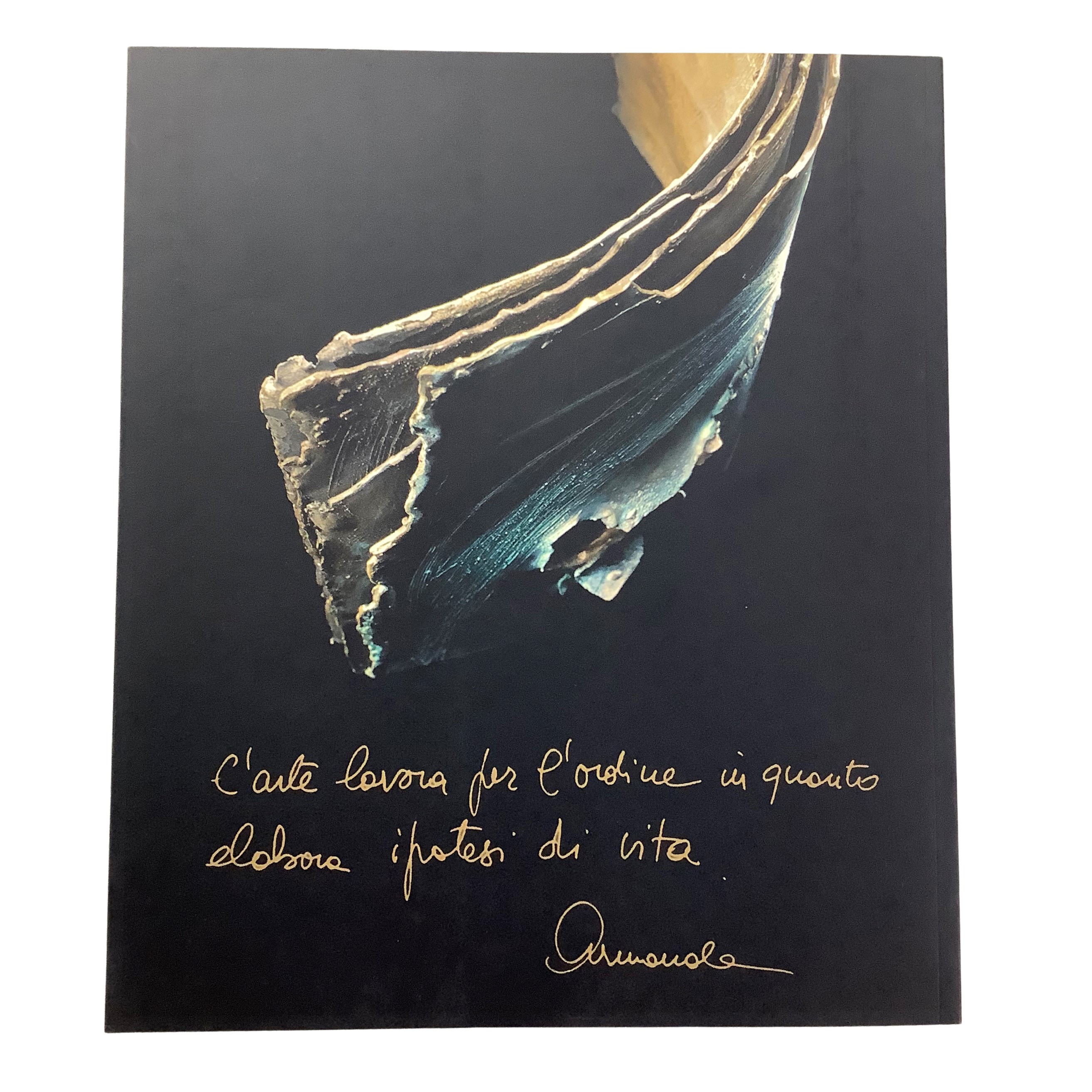 Armanda Verdirame, Semi Cosmi (2003)