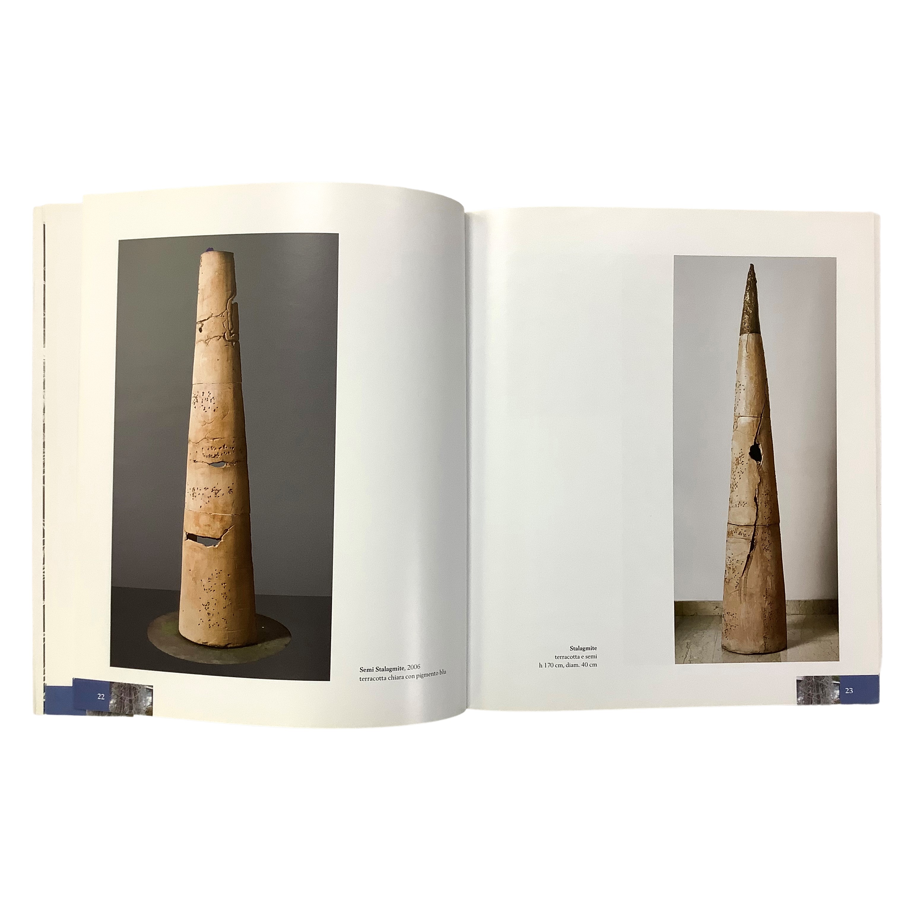 Armanda Verdirame, Tillandsia (catalogo di mostra, 2018)