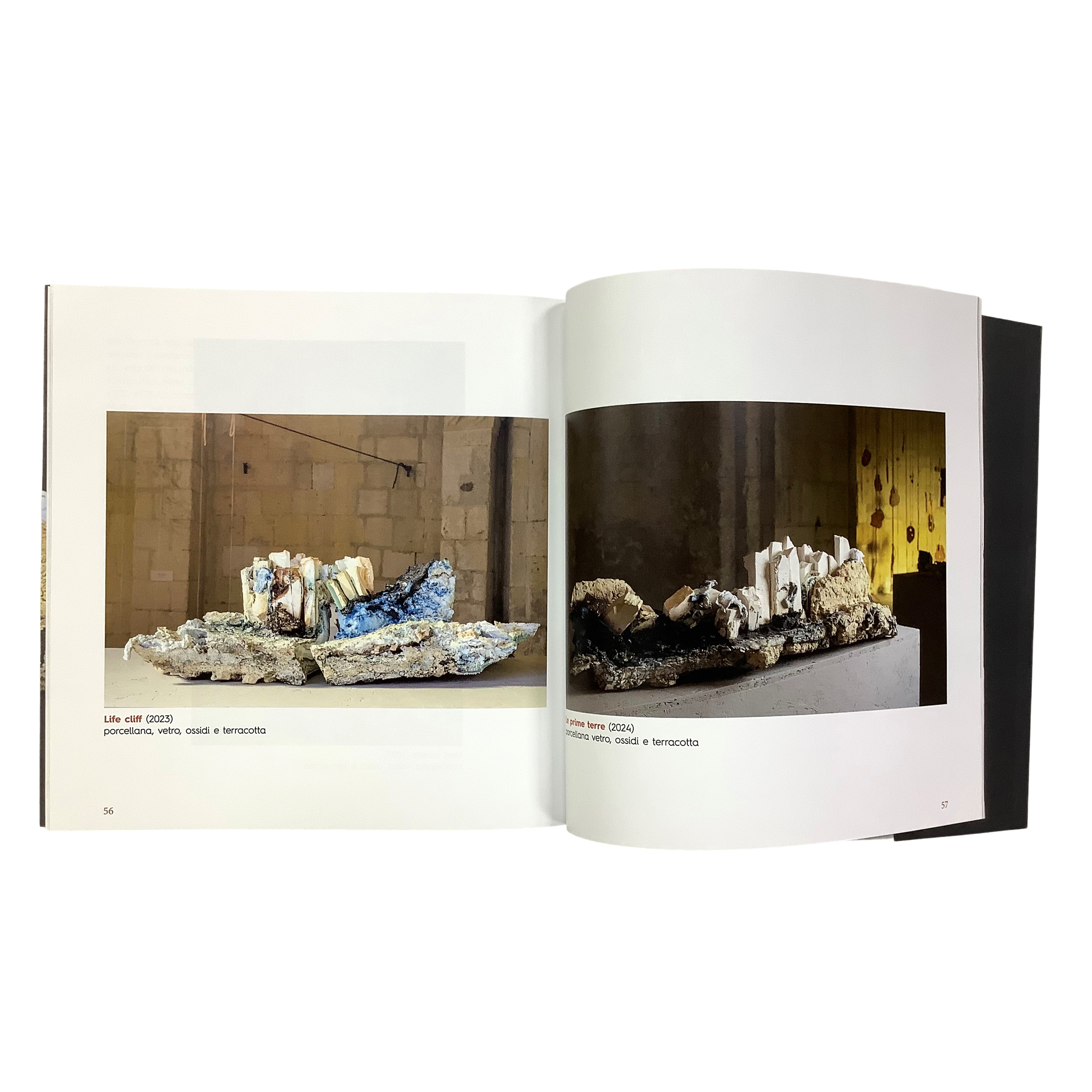 Lorenzo Fiorucci (a cura di), Orizzonte Terra, catalogo della mostra