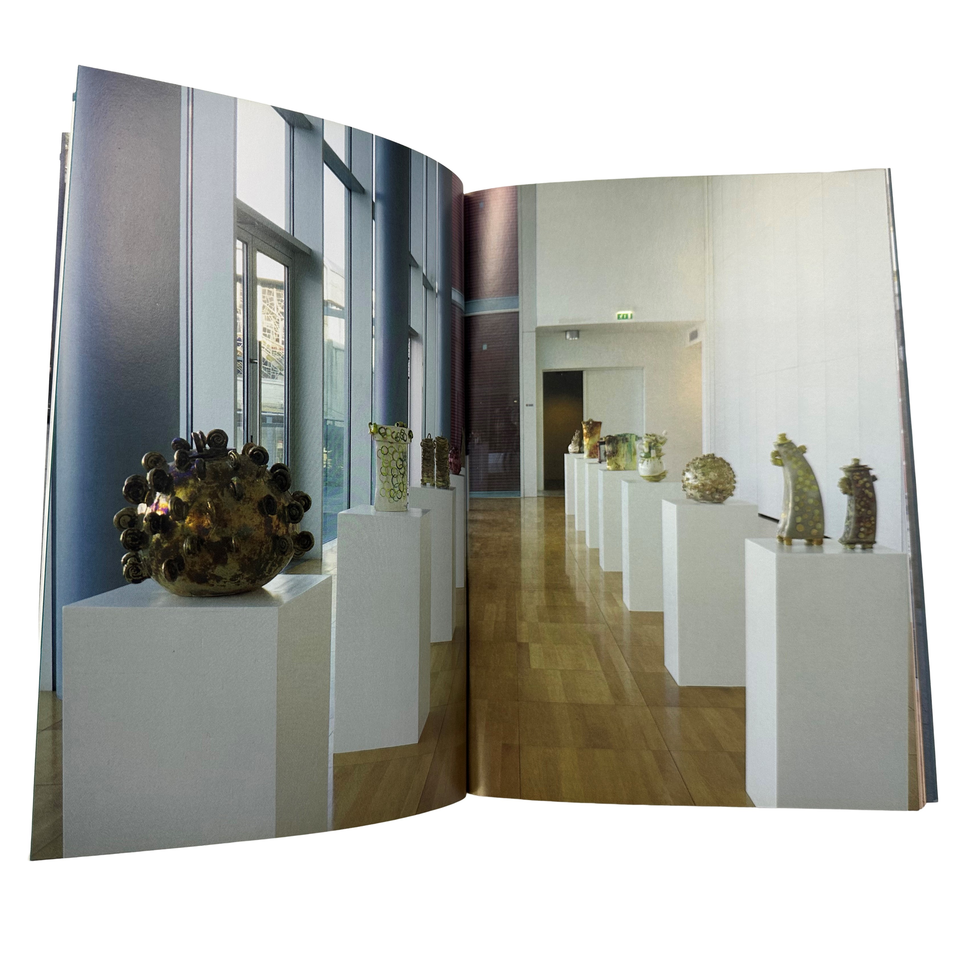 Staccioli, Paola e Paolo; Passaggi, catalogo di mostra (2017)