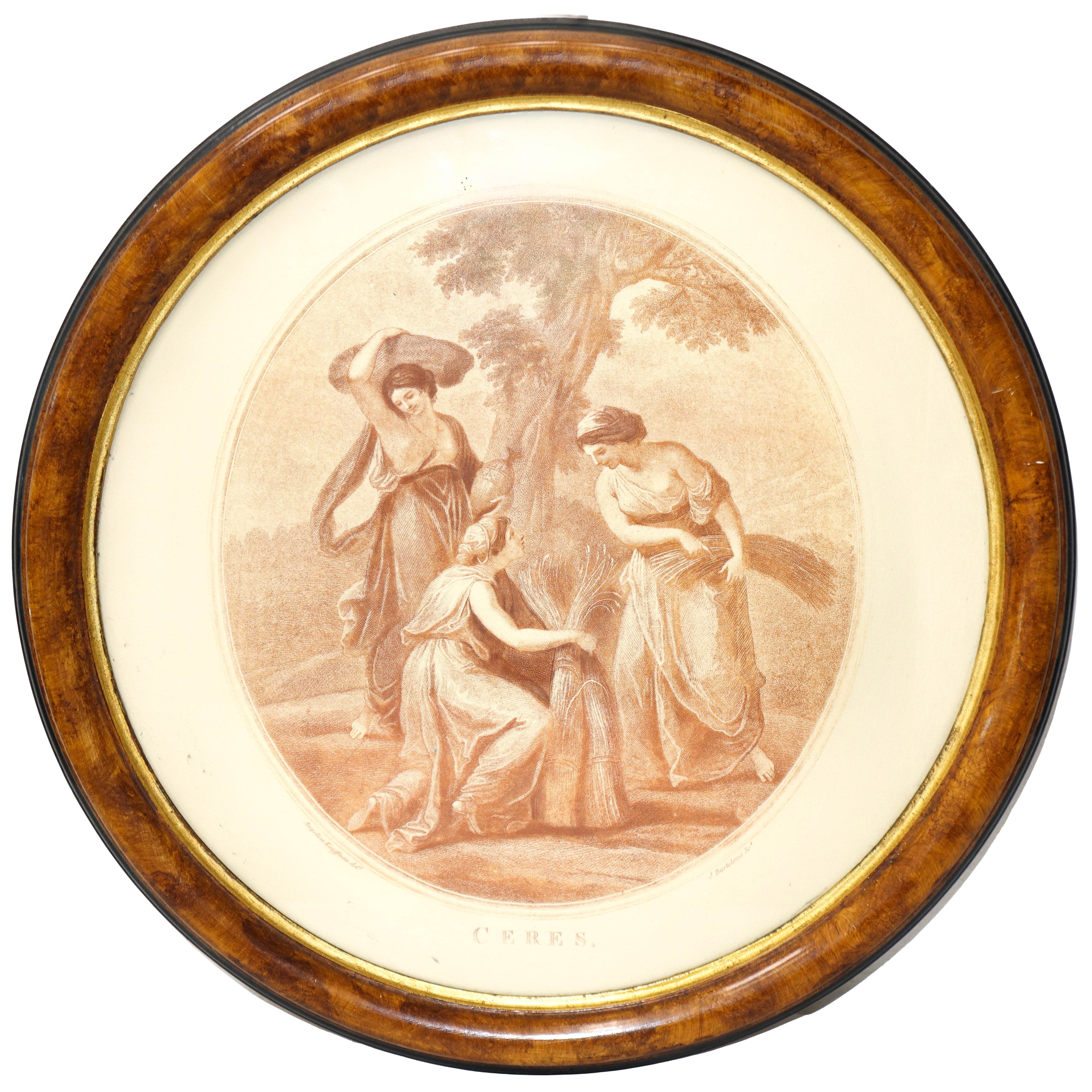 Coppia di Sanguigne