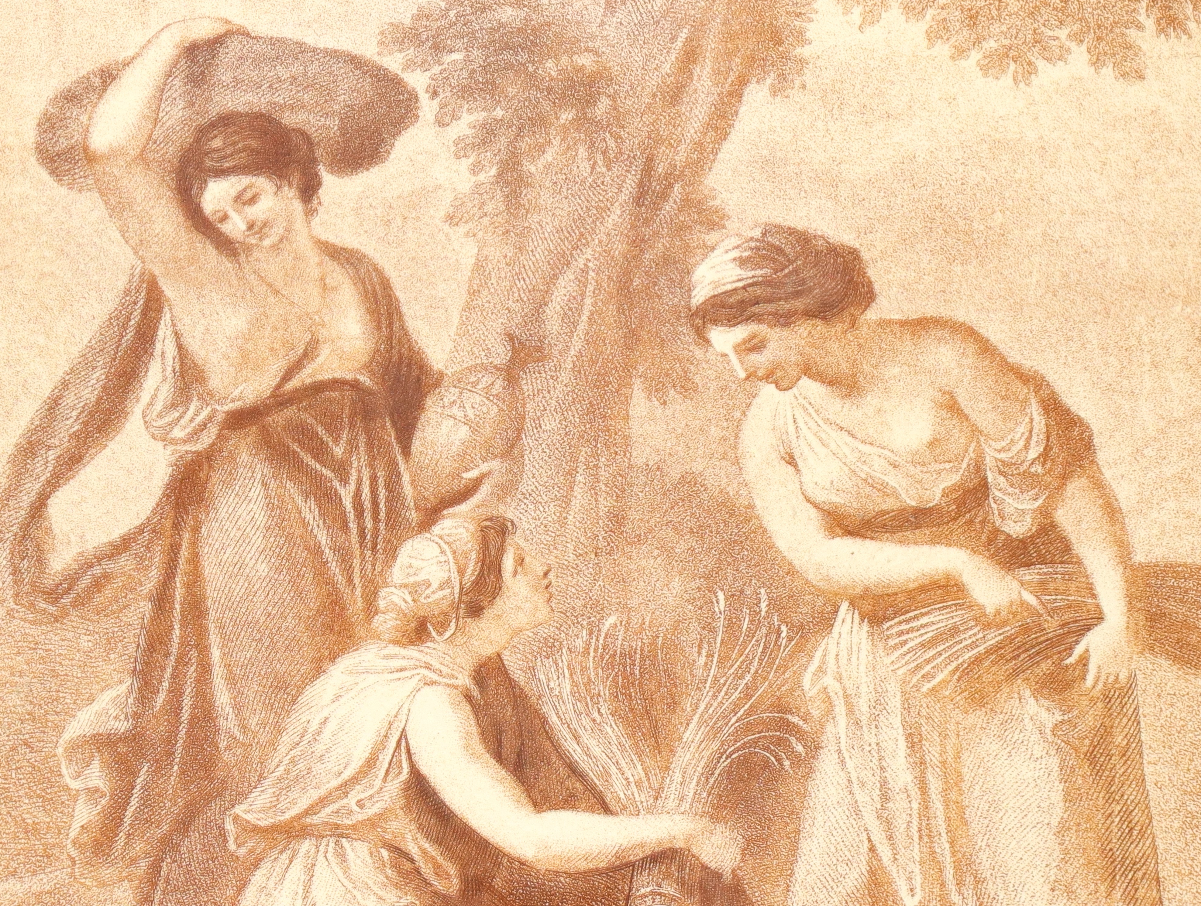 Coppia di Sanguigne