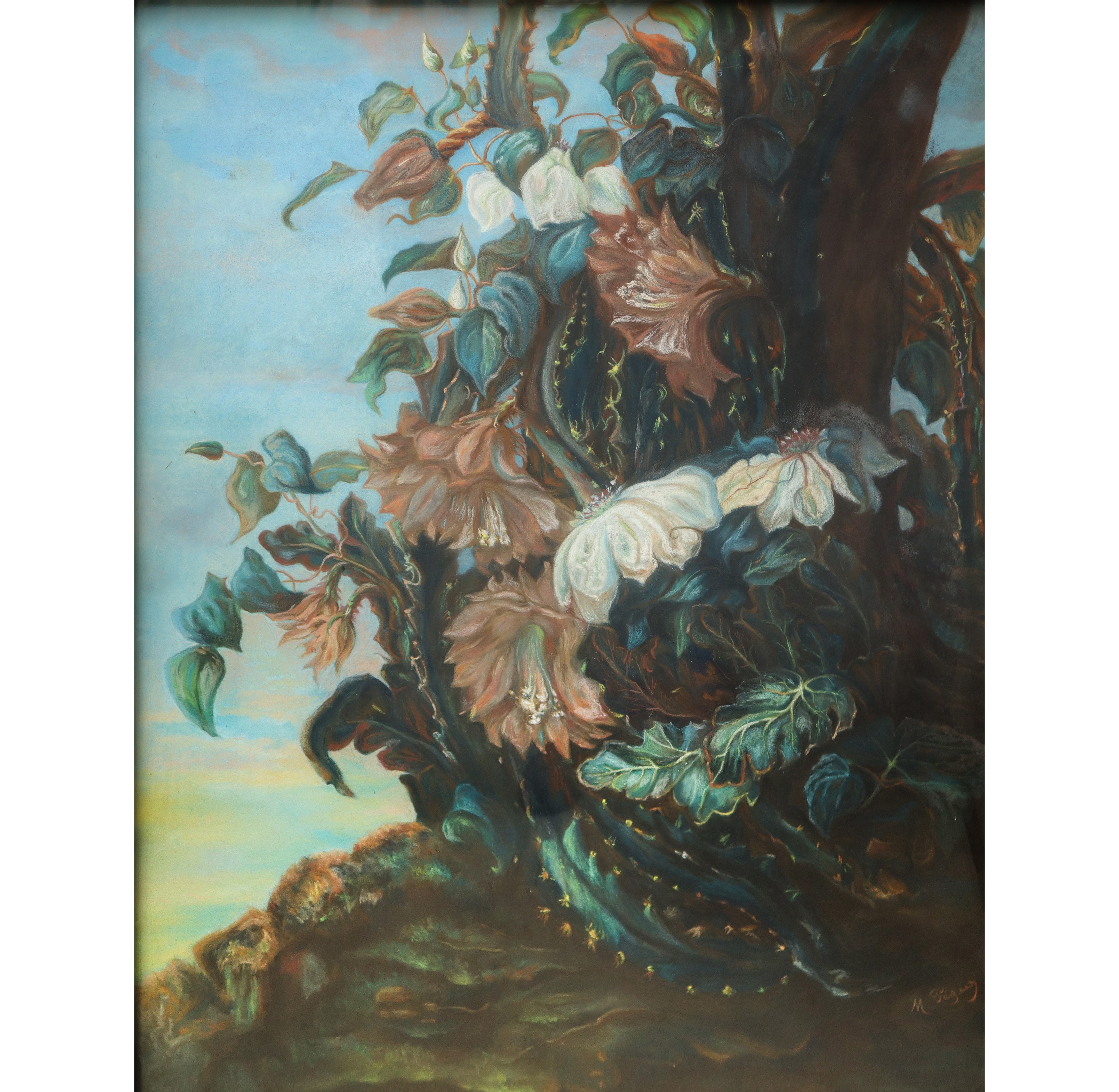 Fiori Selvatici
