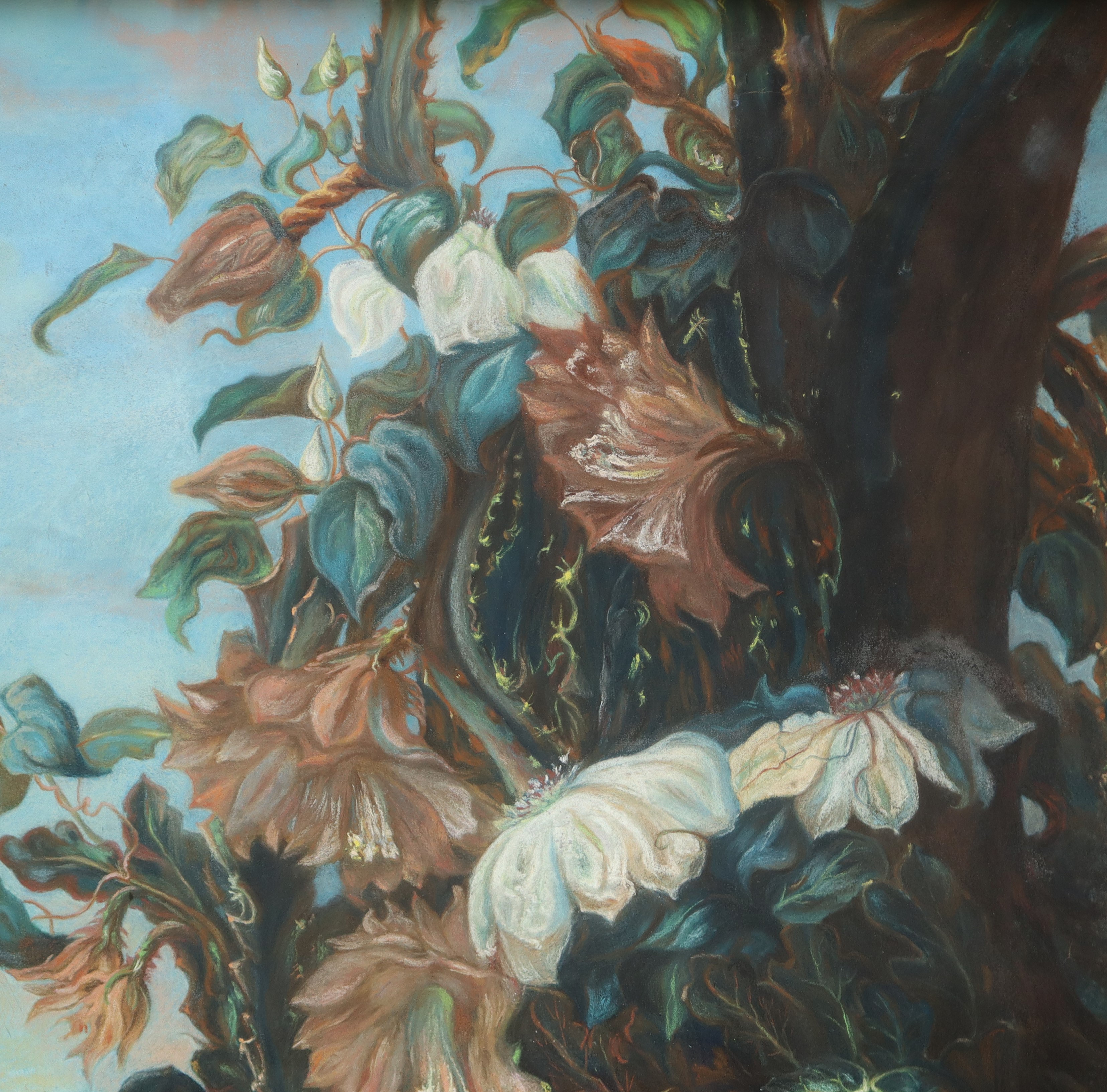 Fiori Selvatici