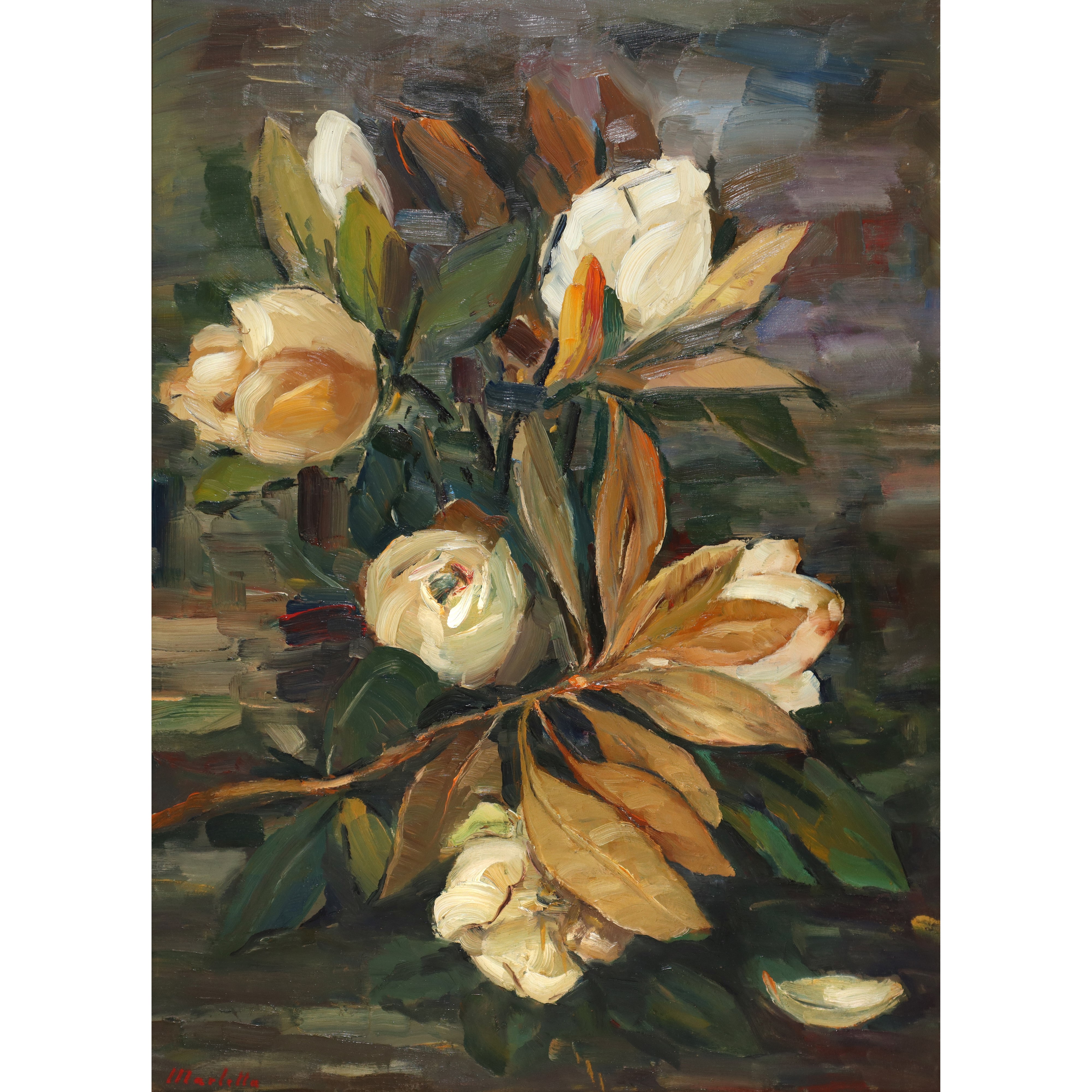 Giuseppe Marletta - Magnolie