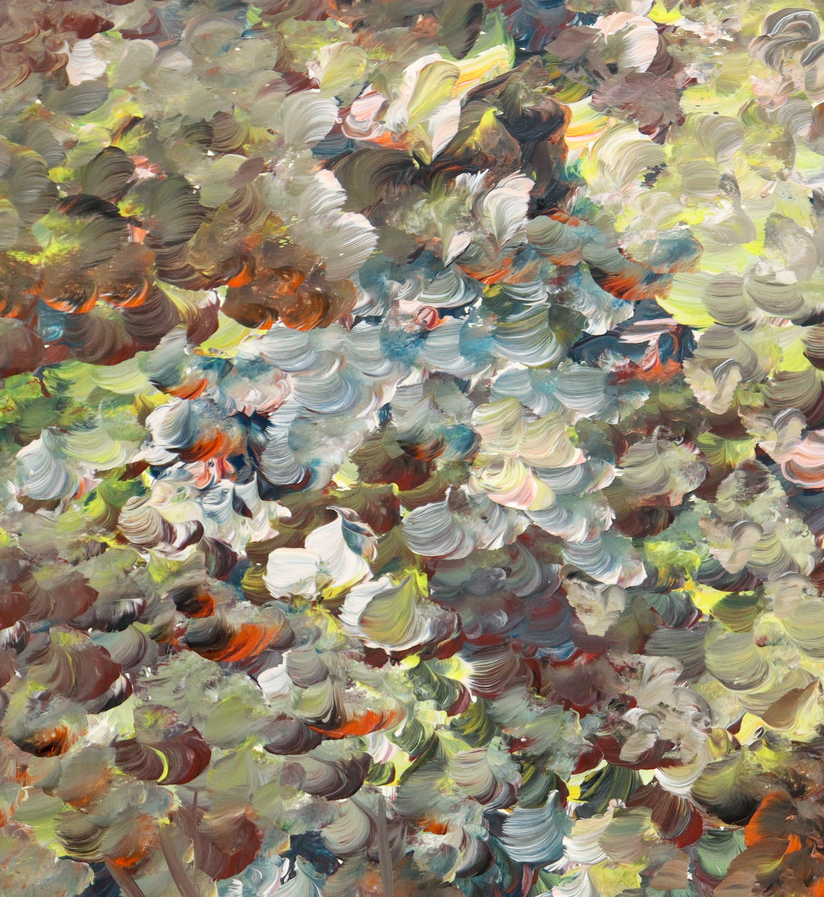 Francesco Giambarresi - Fiori