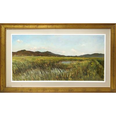 Marema toscana: palude