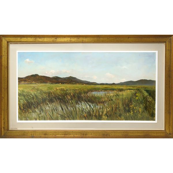 Bruno Guaitamacchi - Marema toscana: palude